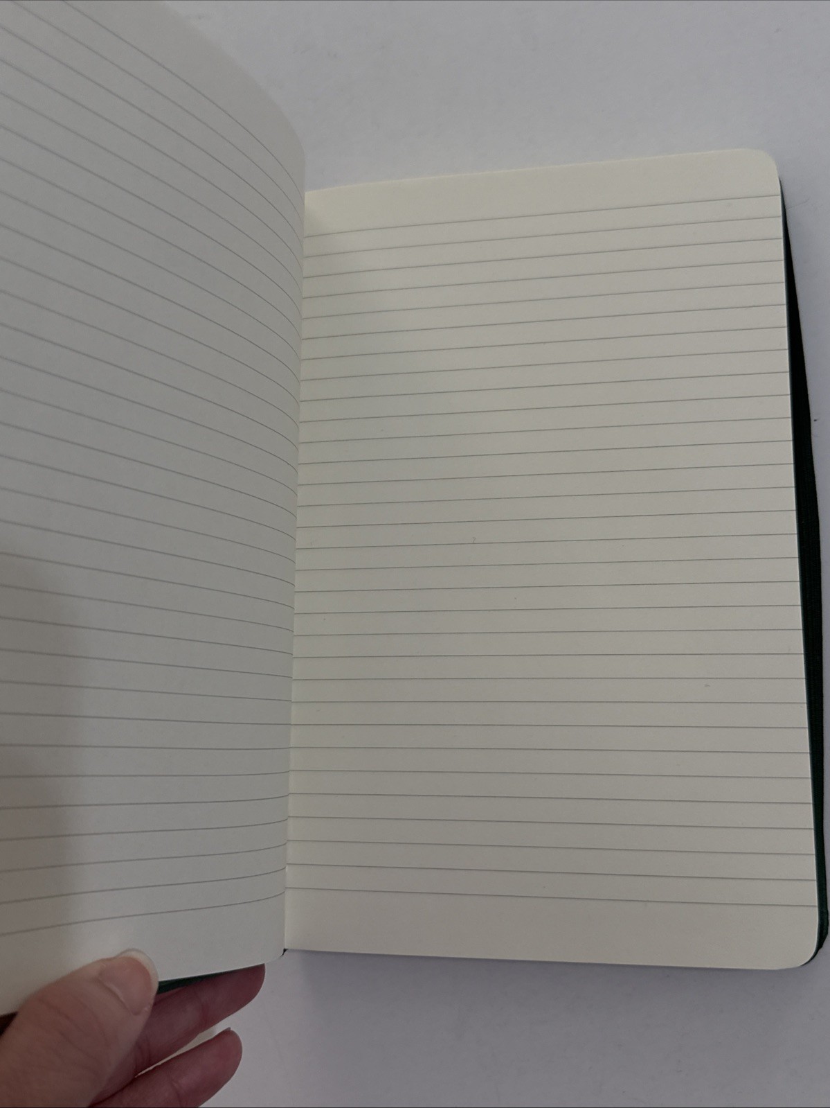 Daryl Dixon The Walking Dead Hardcover Ruled Journal 192 Pages NEW