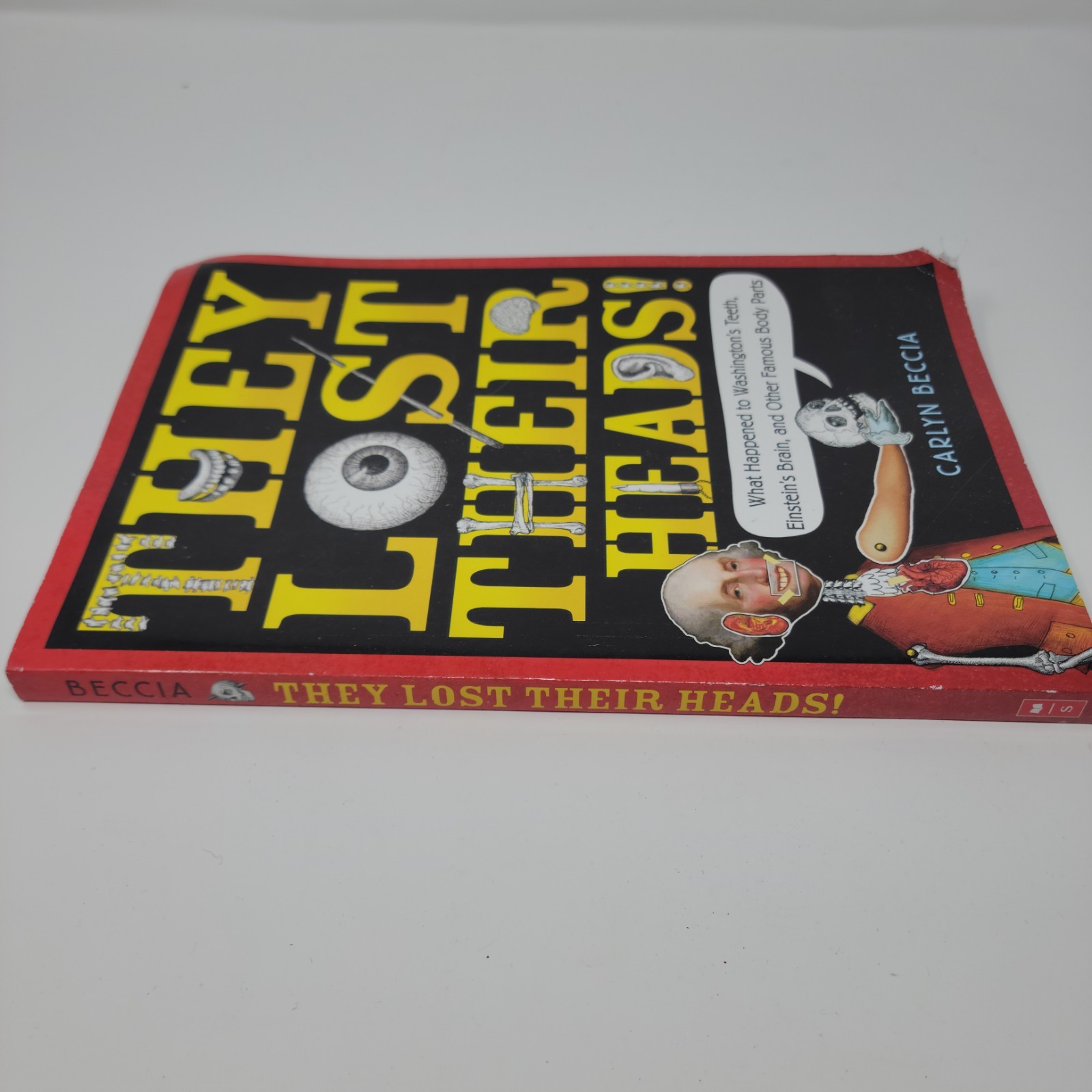 THEY LOST THEIR HEADS Book Carlyn Beccia 2018 Scholastic Paperback