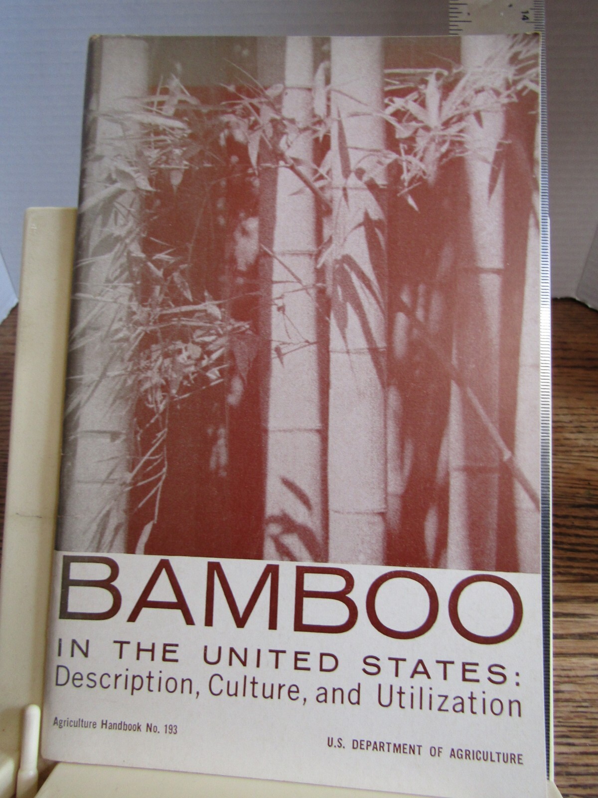 Bamboo in the United States US Dept Agriculture 1962 Handbook No 193 VG photos