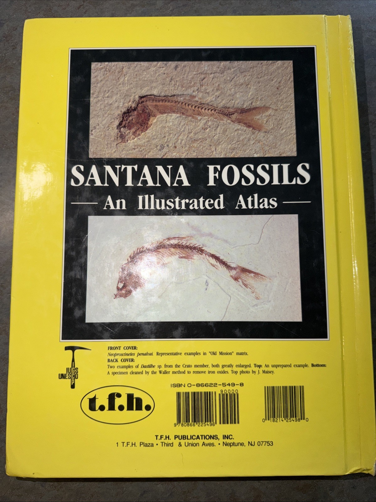 Santana Fossils: An Illustrated Atlas By Maisey Hardcover Cretaceous Fish Plants