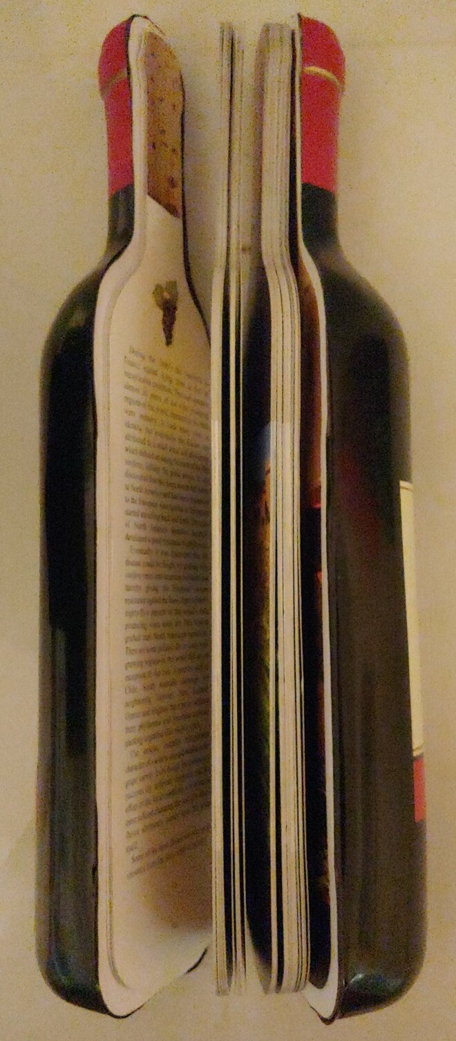 Ruckus Books “A World of Wine” by Michelle Brachet 146 Pages