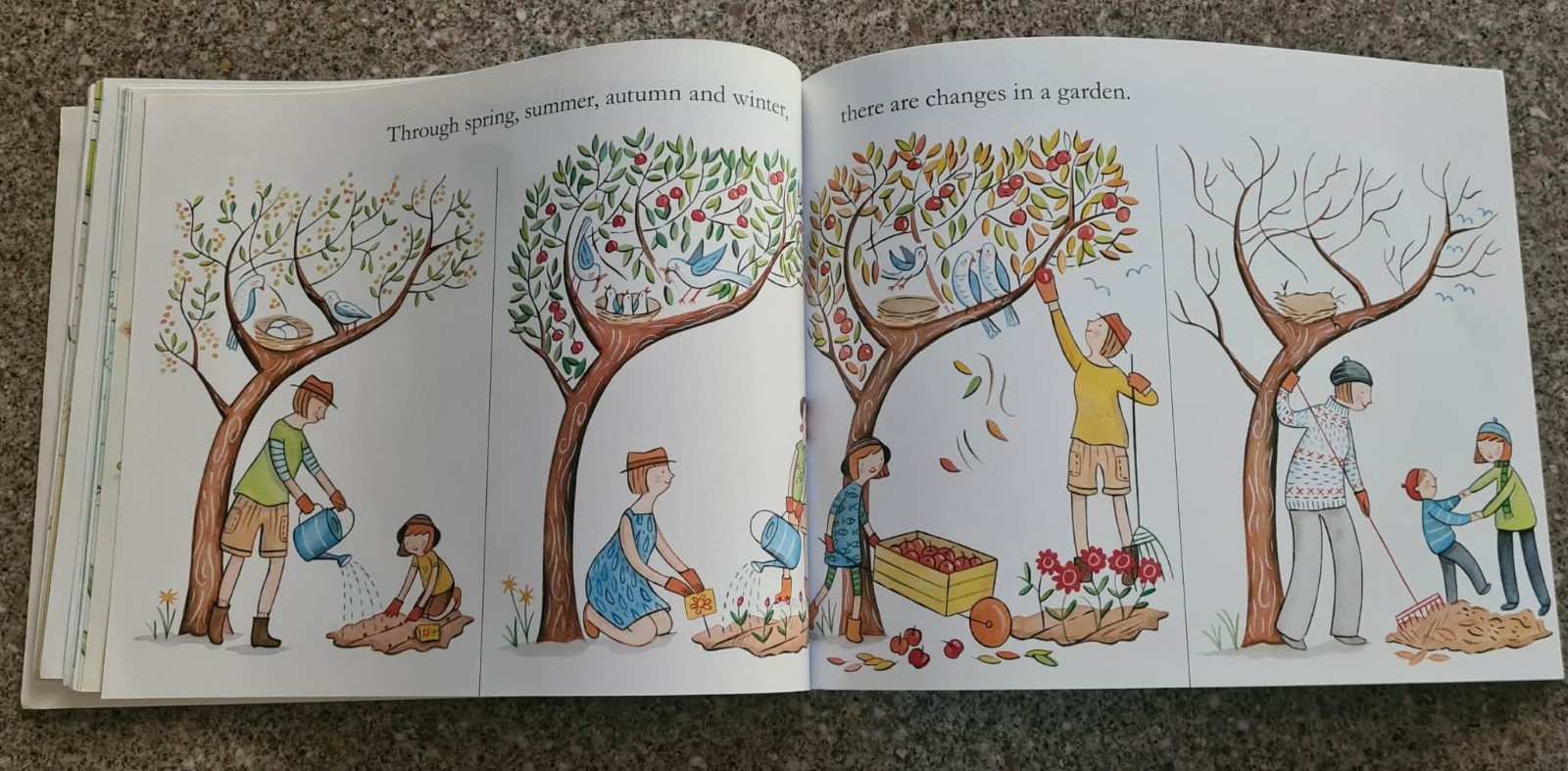 THE ABC KIDS BOOK OF SEASONS ~ HELEN MARTIN / JUDITH SIMPSON ~ Lge SC