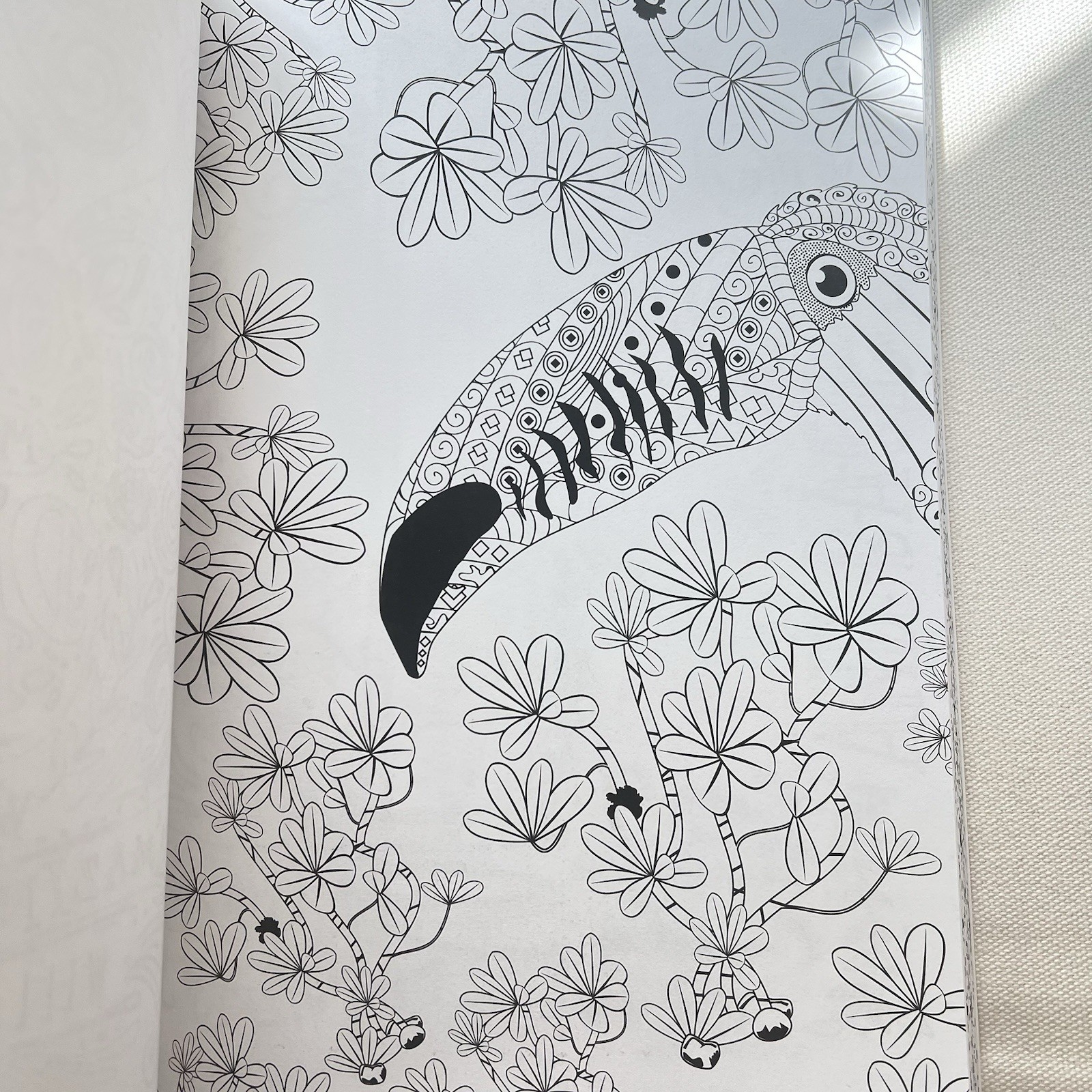 Color Your World:  Relaxing Adult Coloring Book W/ Easy Tear-Out Pages NEW