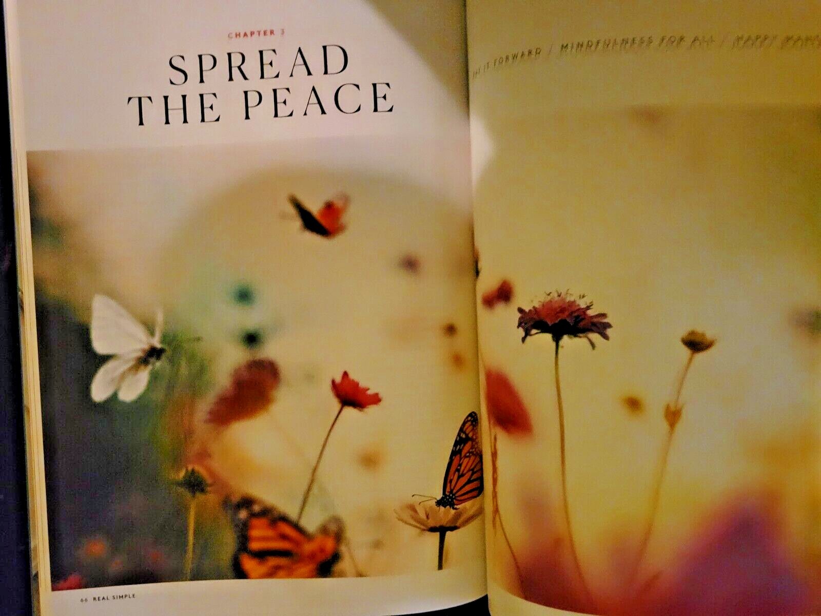 THE POWER OF POSITIVITY – Real Simple Special Edition – Outlook Change Your Life