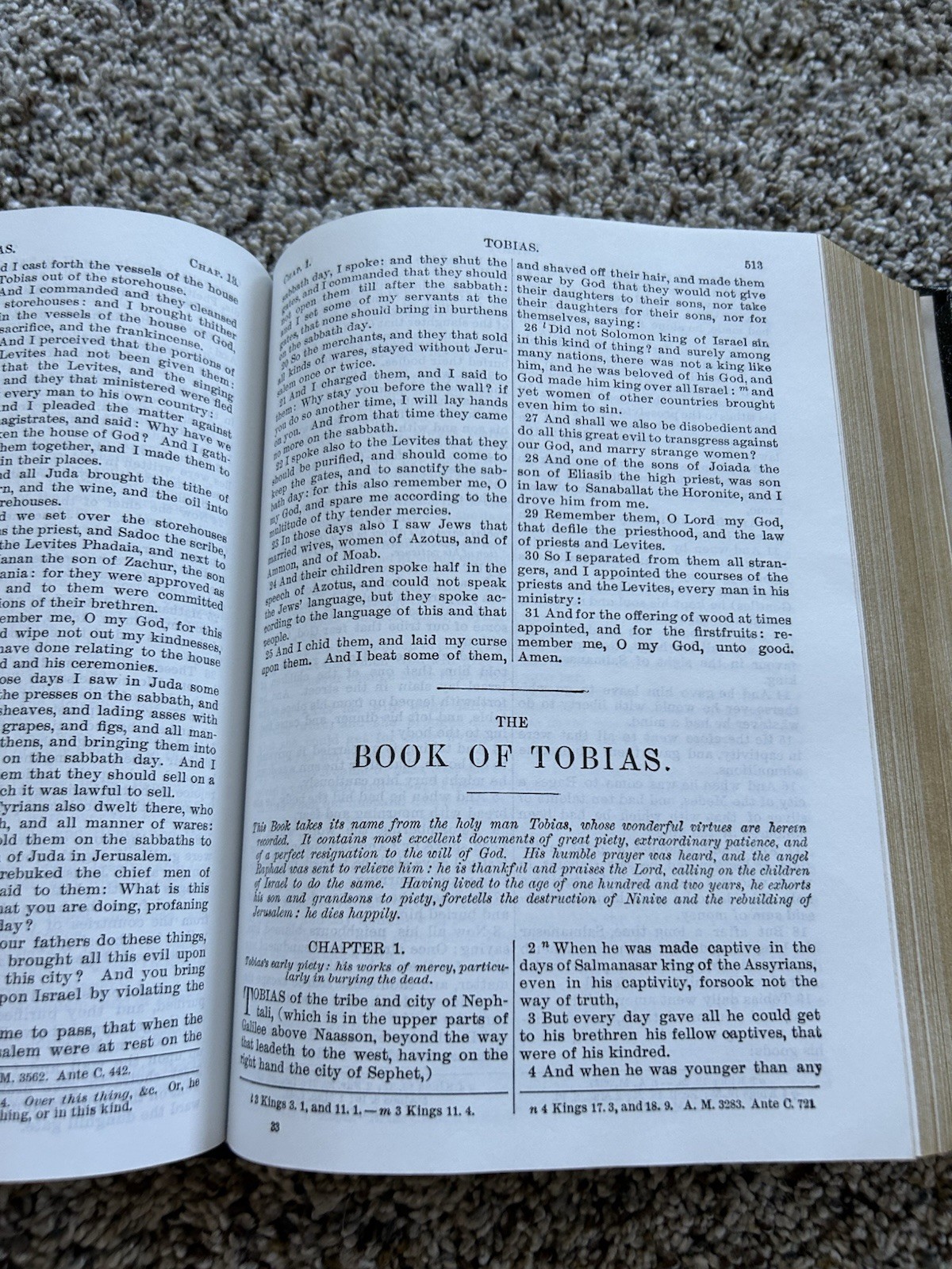 The Holy Bible Douay Rheims Version Catholic 1989 Orthodox Hardcover Black F26