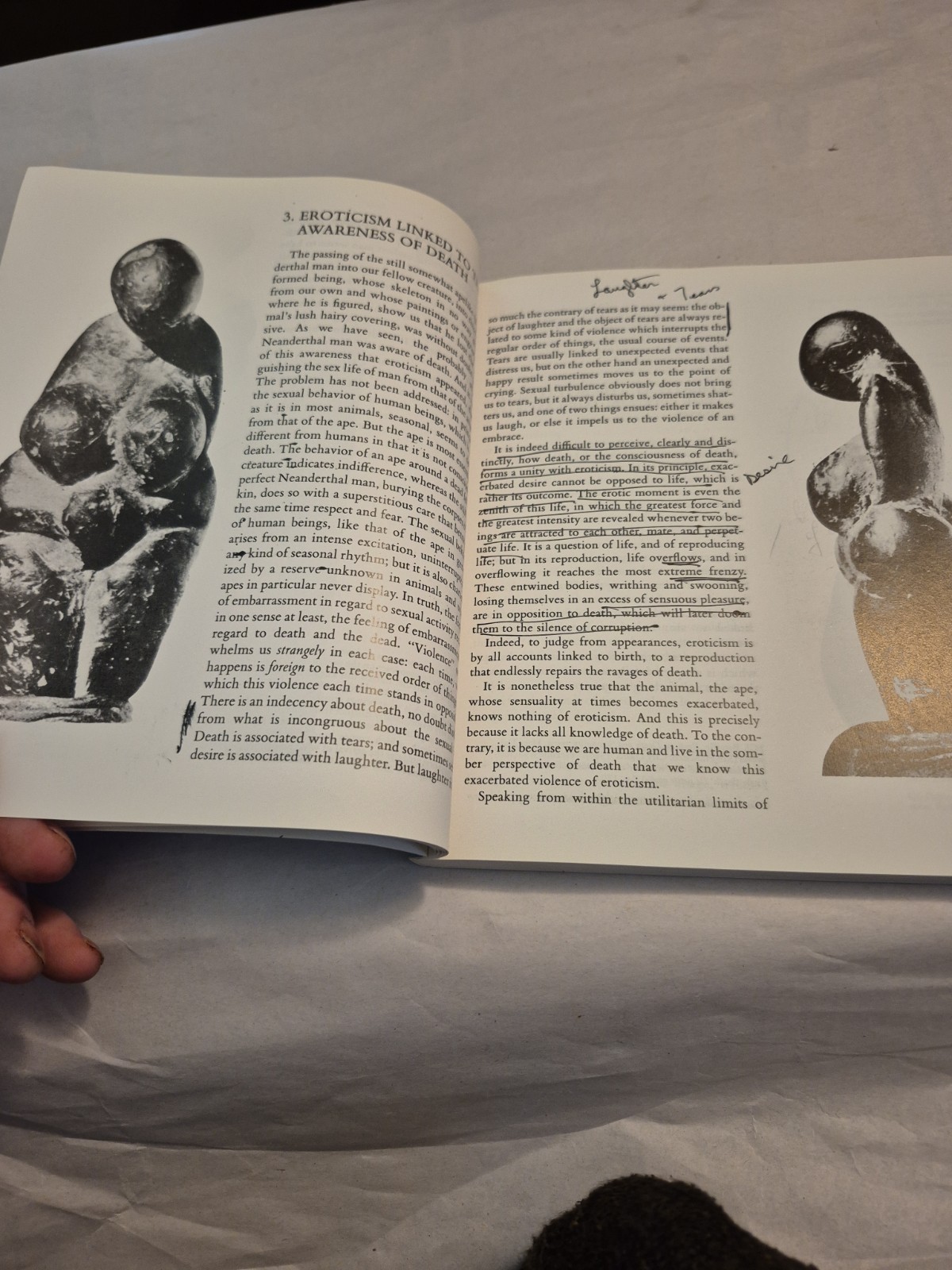 Tears of Eros by Georges Bataille TPB French Philosophy Violence Horror Abject