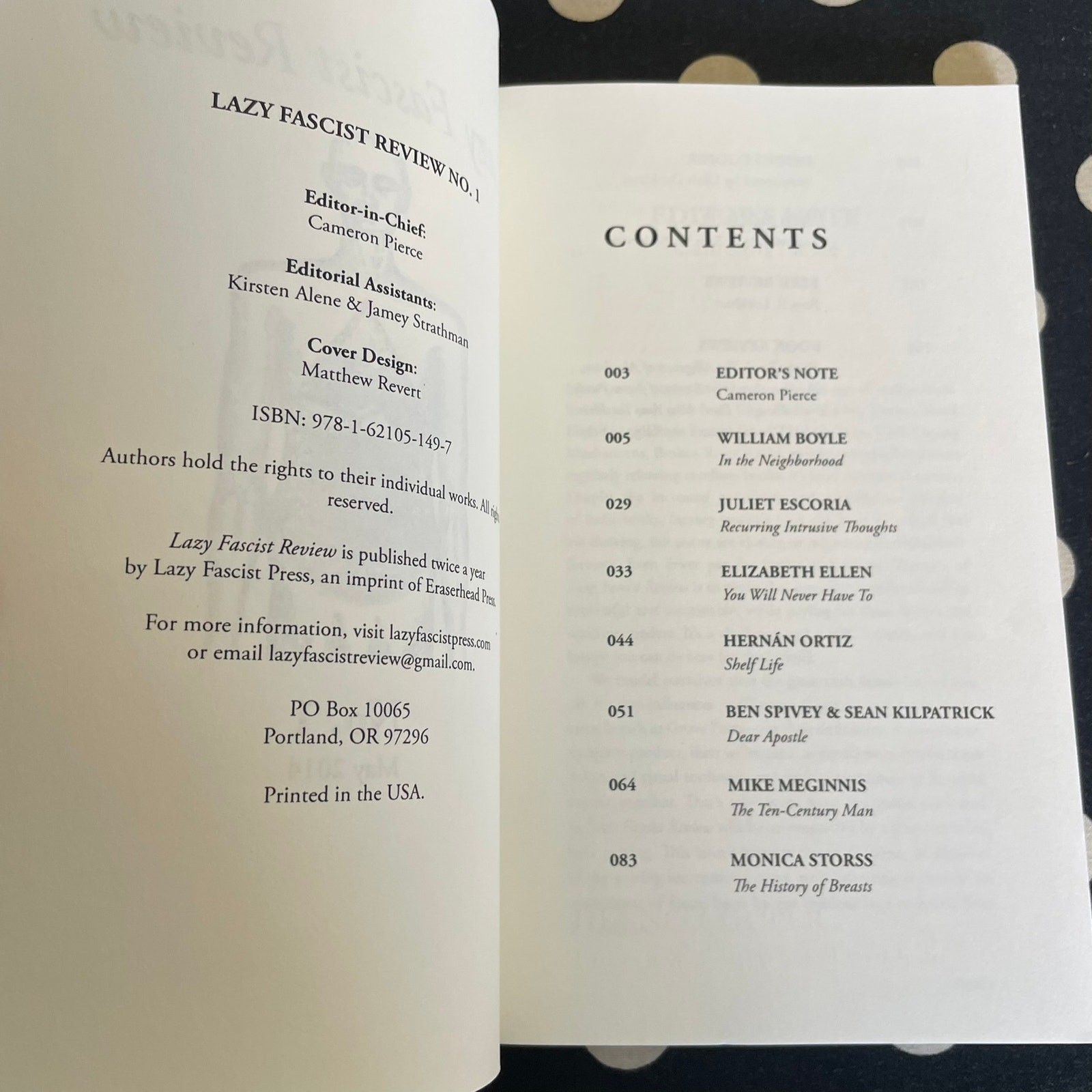 Lazy Fascist Review No. 1 2014 Softcover Literary Journal DENNIS COOPER