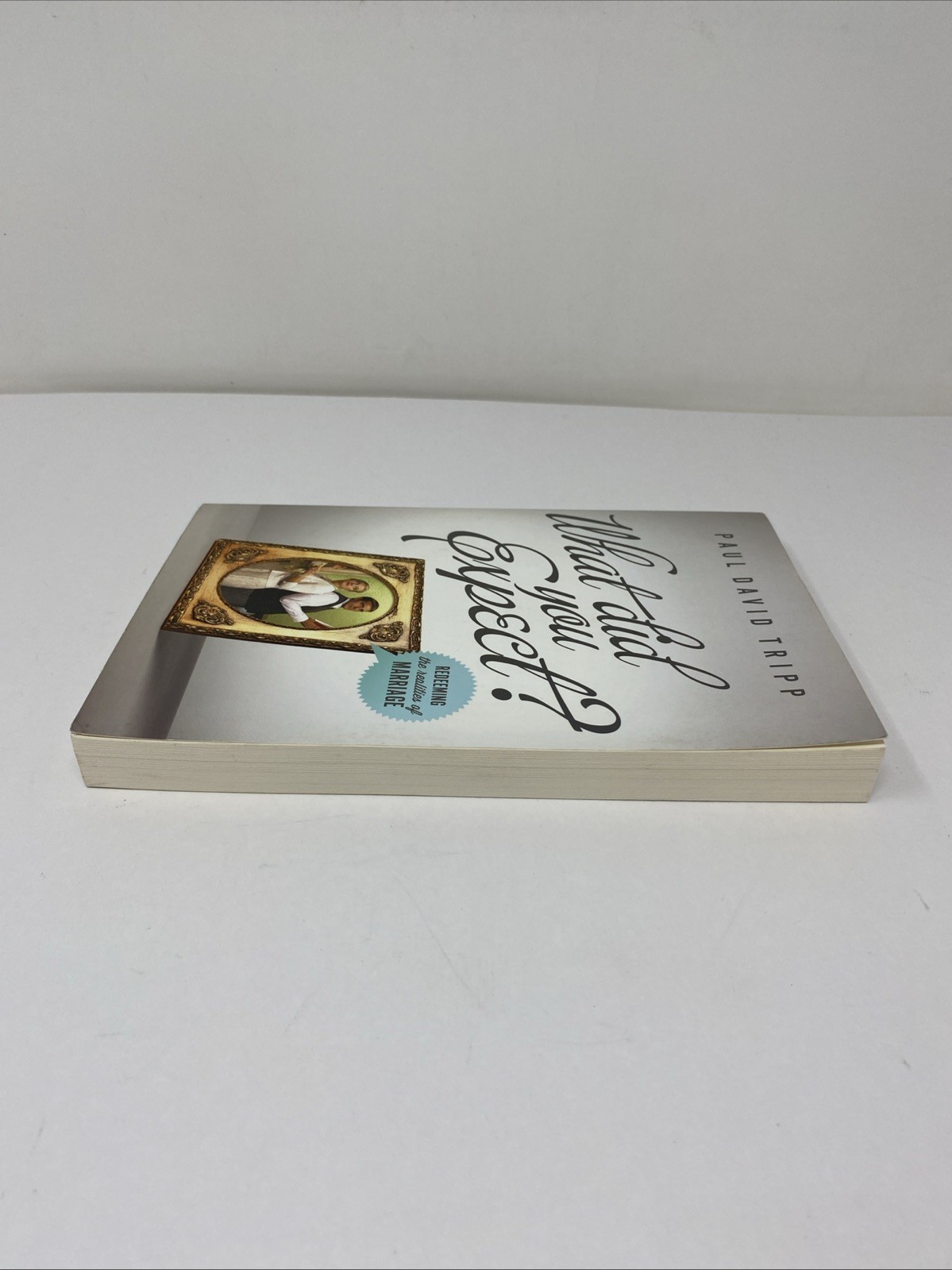 What Did You Expect Paul David Tripp Paperback 2012 Clean Pages