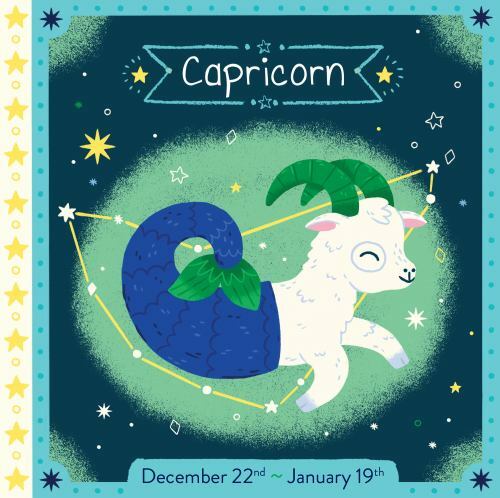 Capricorn: Volume 4 by Union Square Kids