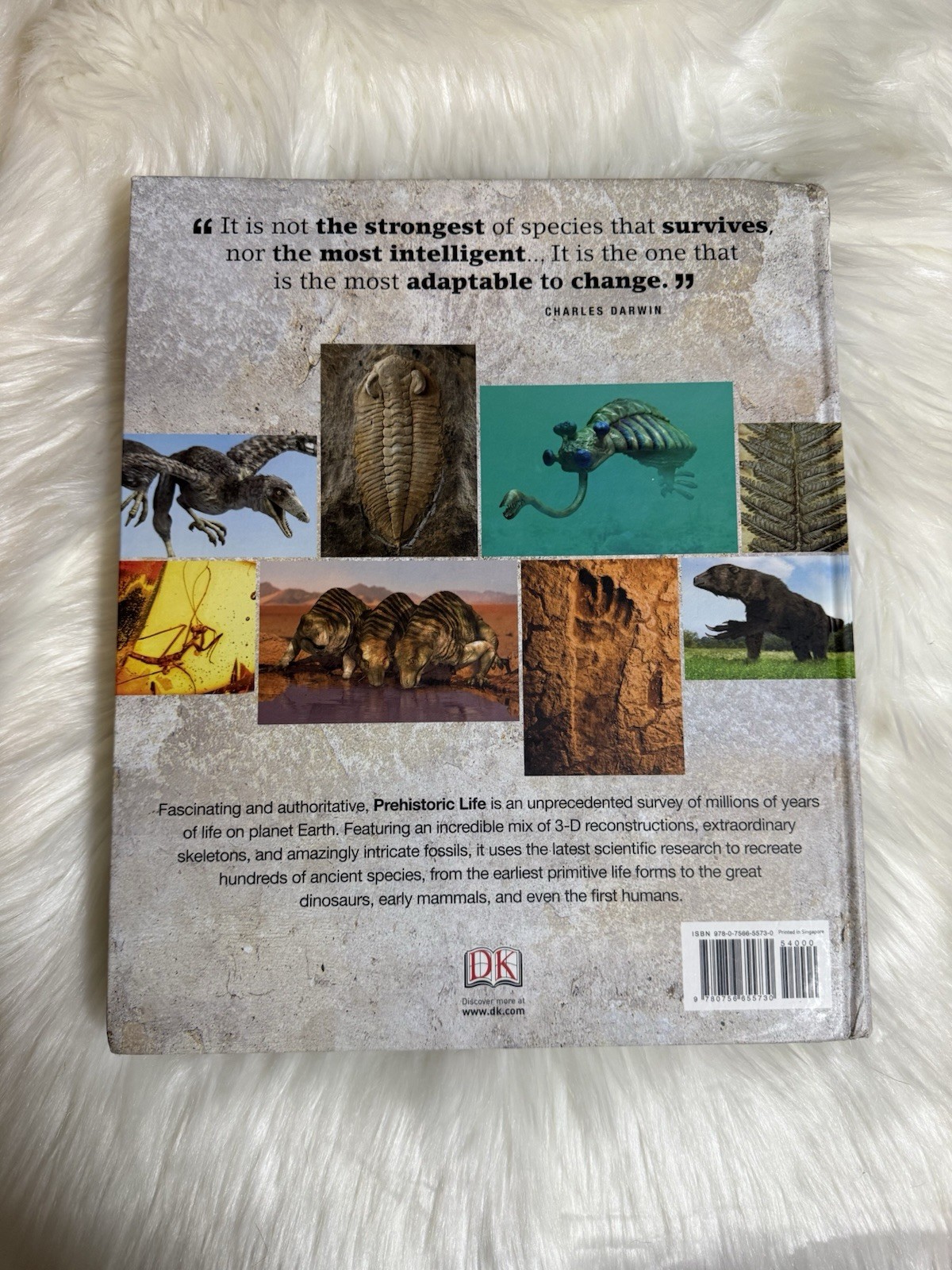 Prehistoric Life: The Definitive Visual History of Life on Earth by DK: Used