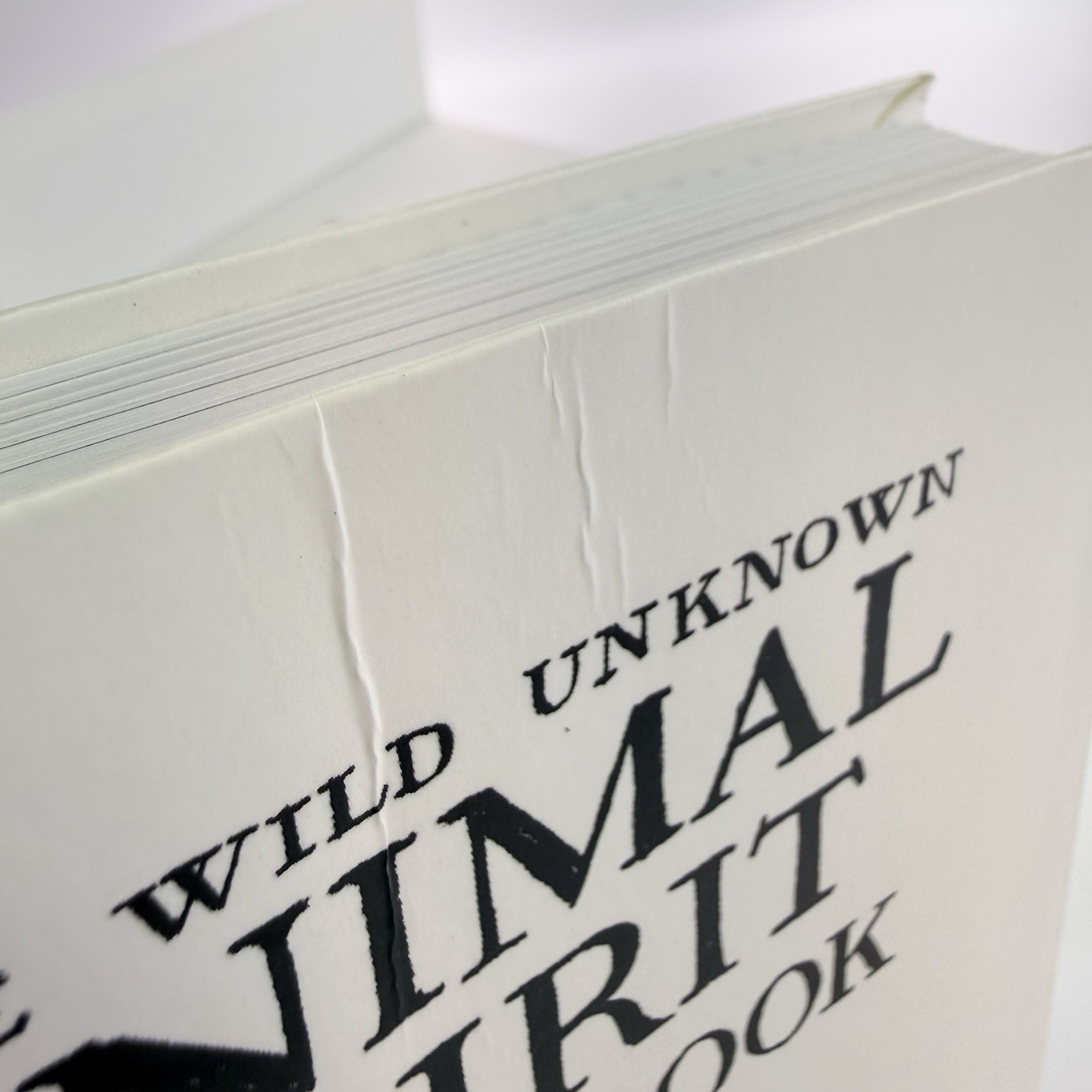 The Wild Unknown Animal Spirit Card Deck & Guide Book Kim Krans Complete