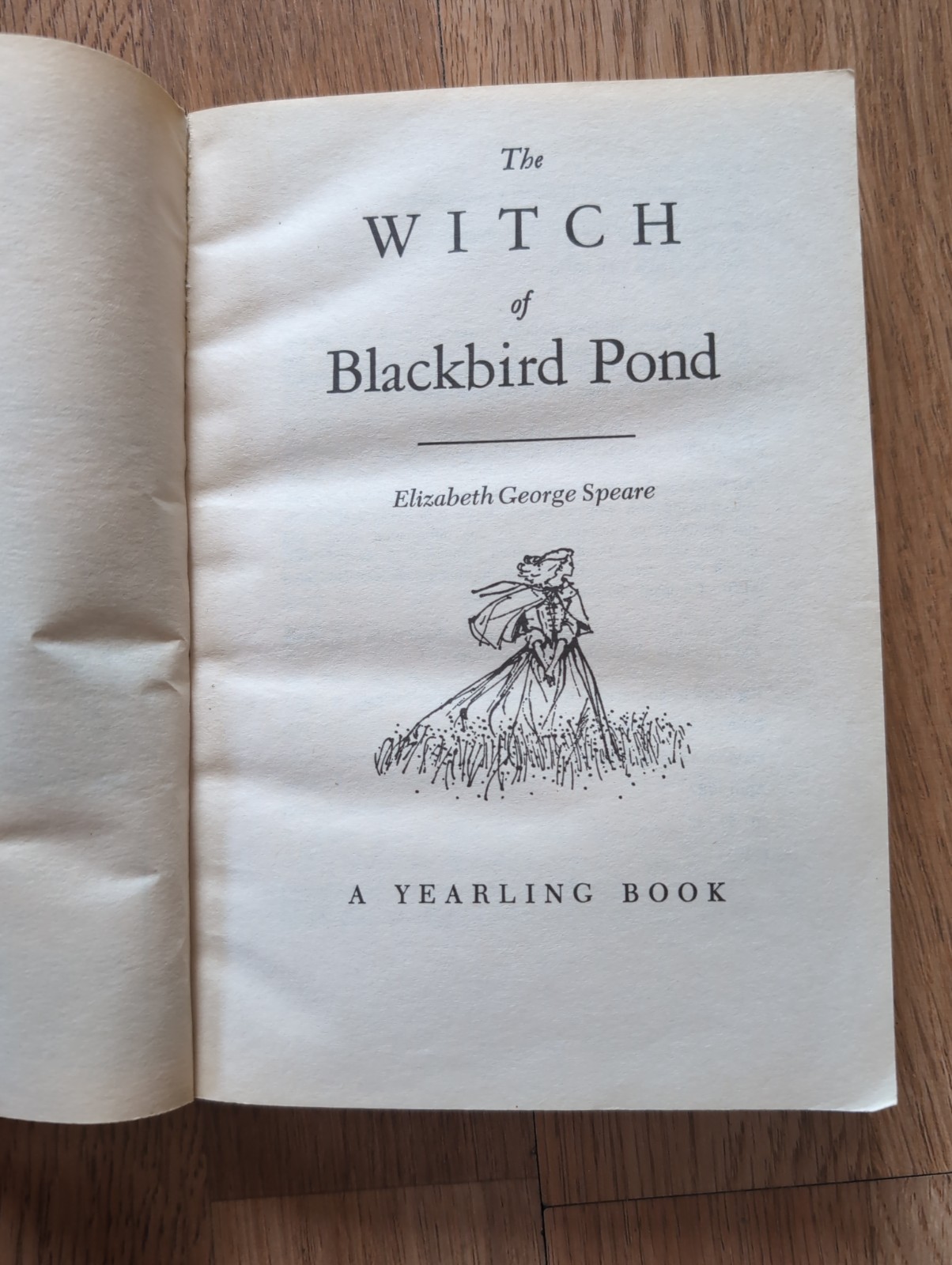 The Witch of Blackbird Pond Study Guide – by Rebecca Gilleland – Progeny Press