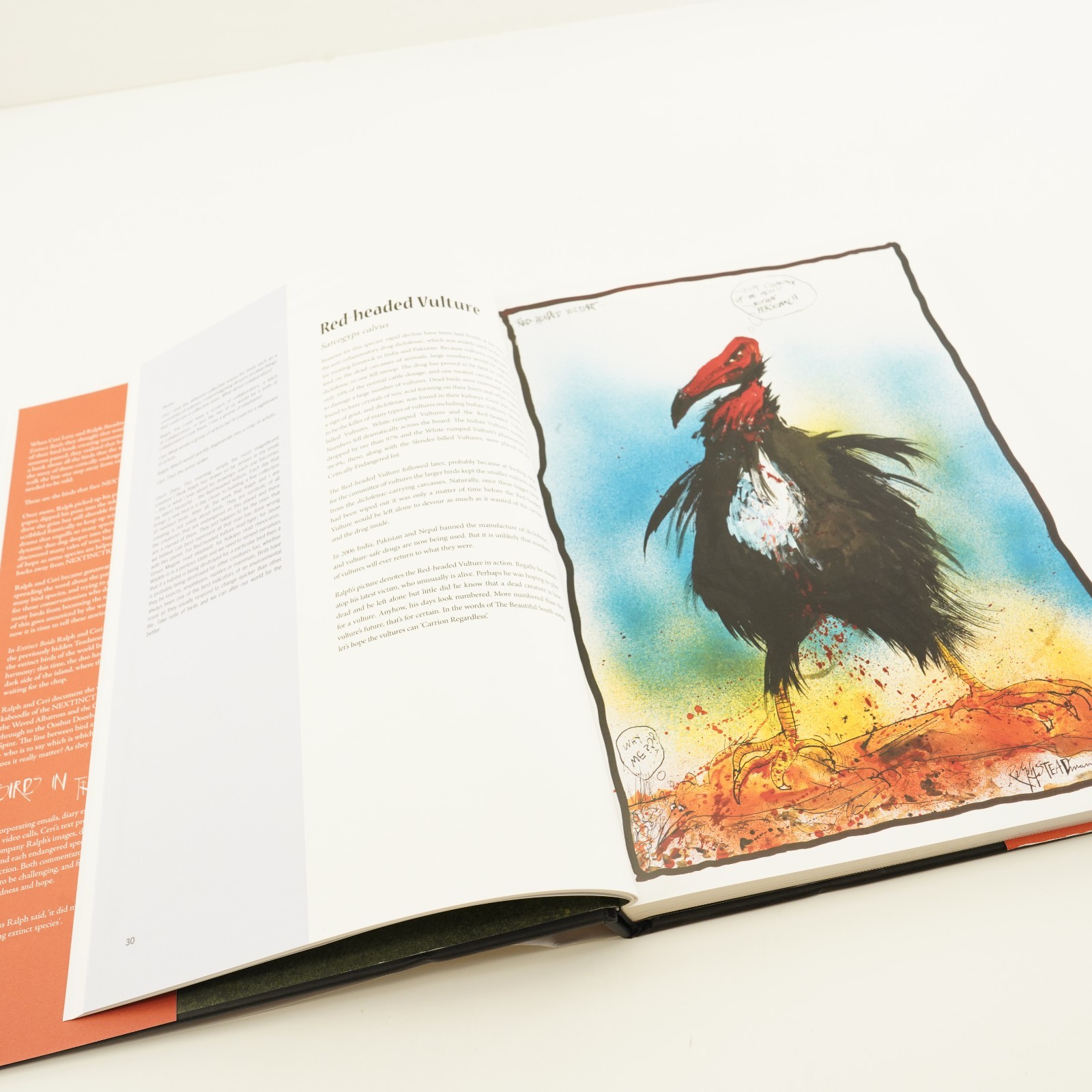 Ralph Steadman Nextinction Ceri Levy Signed Wing and Prayer Commentary