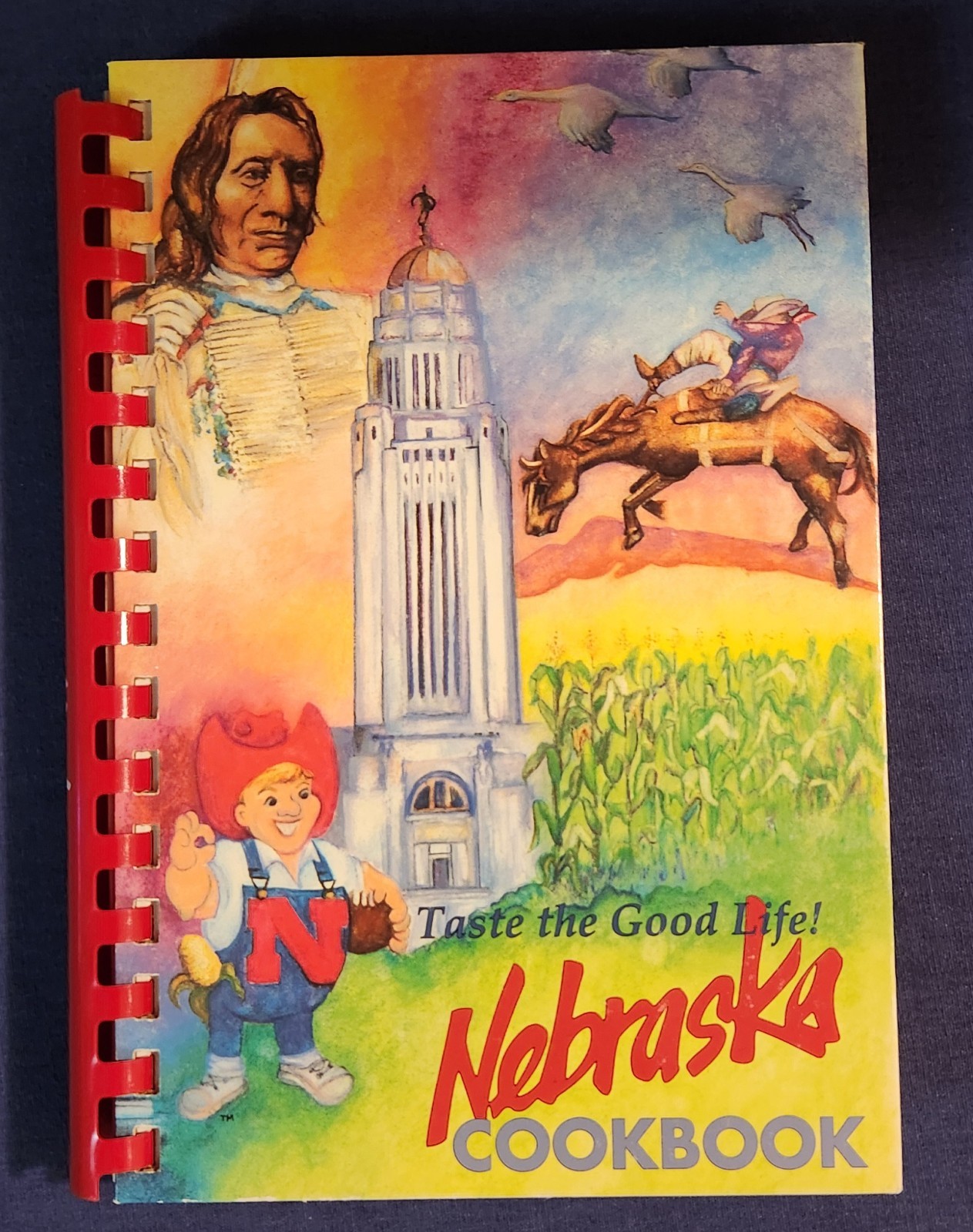 Nebraska Cookbook Taste the Good Life 1991 Leafie Mae’s Kitchen Kearney NE