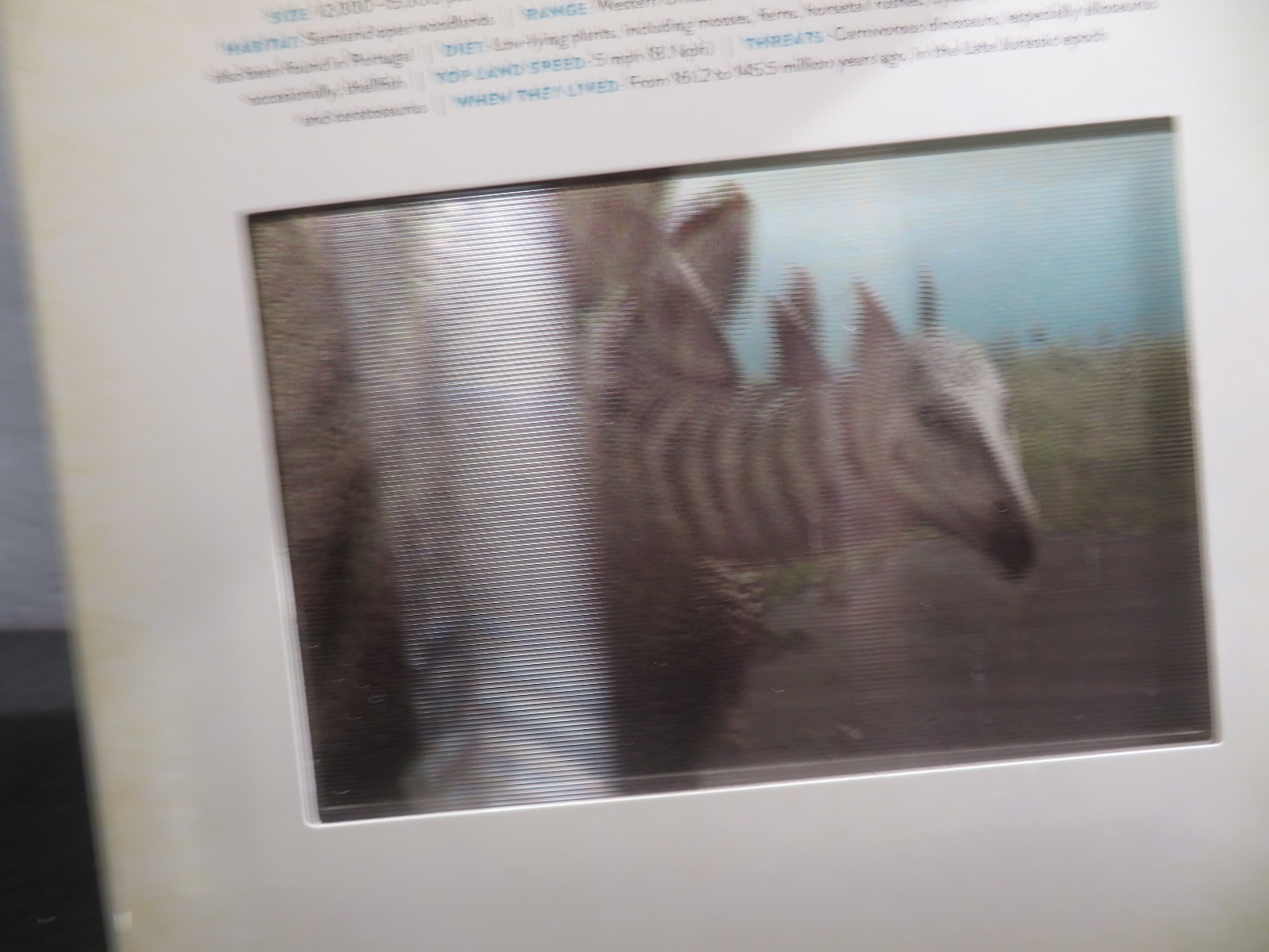 Dinosaur : A Photicular Book by Kathy Wollard and Dan Kainen 2018, Hardcover