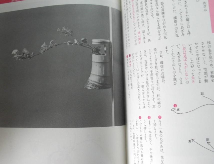 Ikebana Ikenobo Color Guide Book Japanese Flower Arrangement Beginner Japan