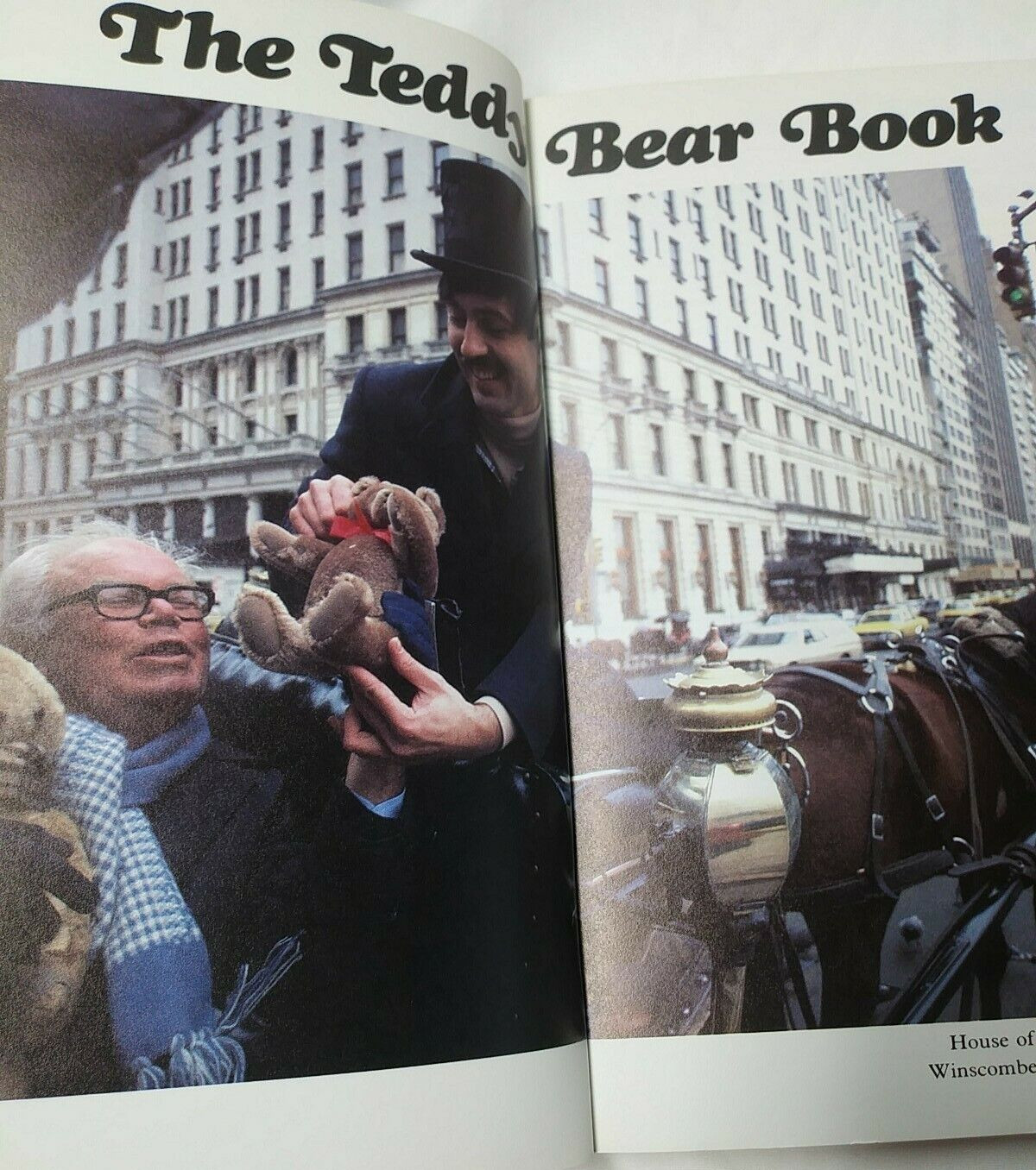 The Teddy Bear Book, revised edition, by Peter Bull (Hobby House, 1987)