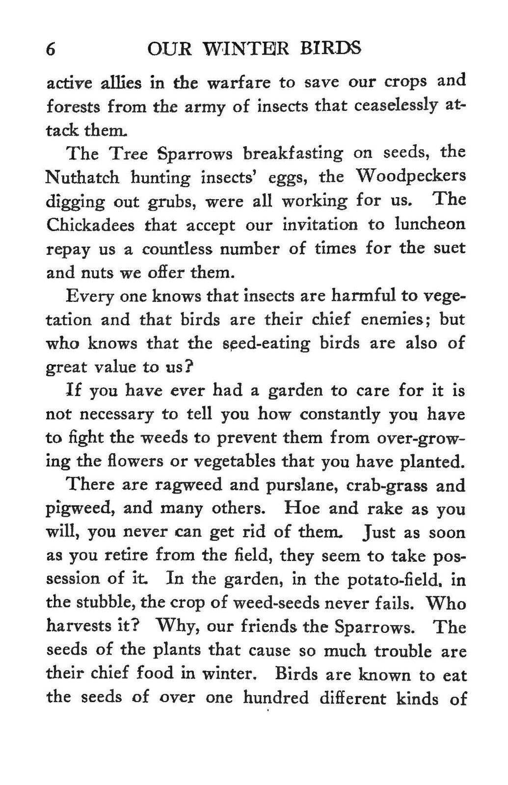 1918 Our Winter Birds How To Know And How To Attract Them 191 Pages