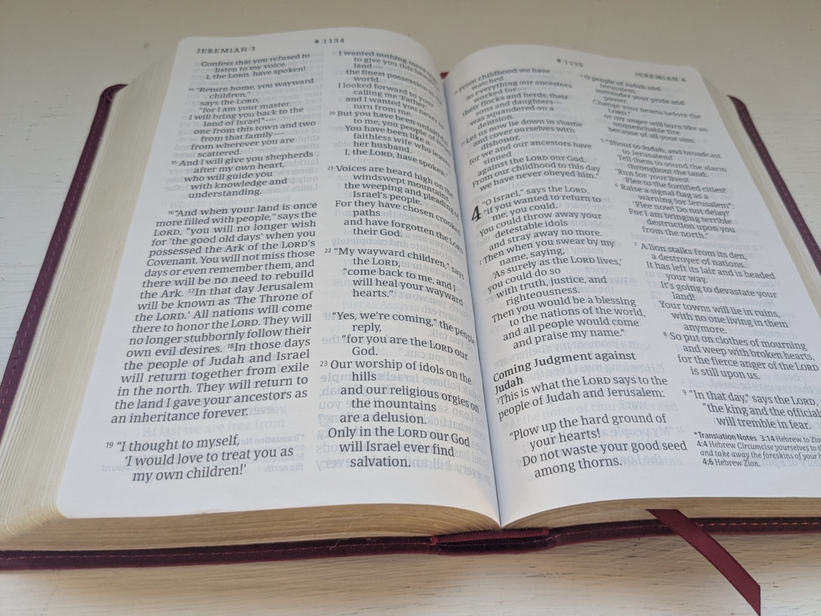 NLT Personal Size Giant Print Filament Bible Tyndale – Imitation Leather