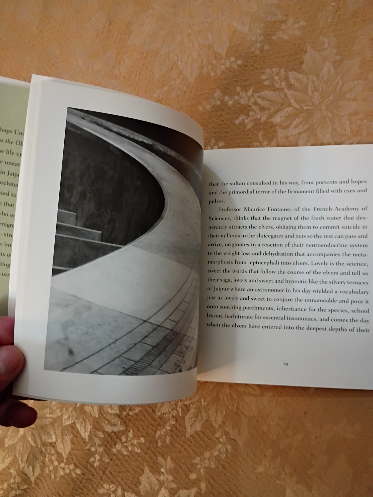 2011 From the Observatory Julio Cortázar 1st Archipelago Books Edition Paperback