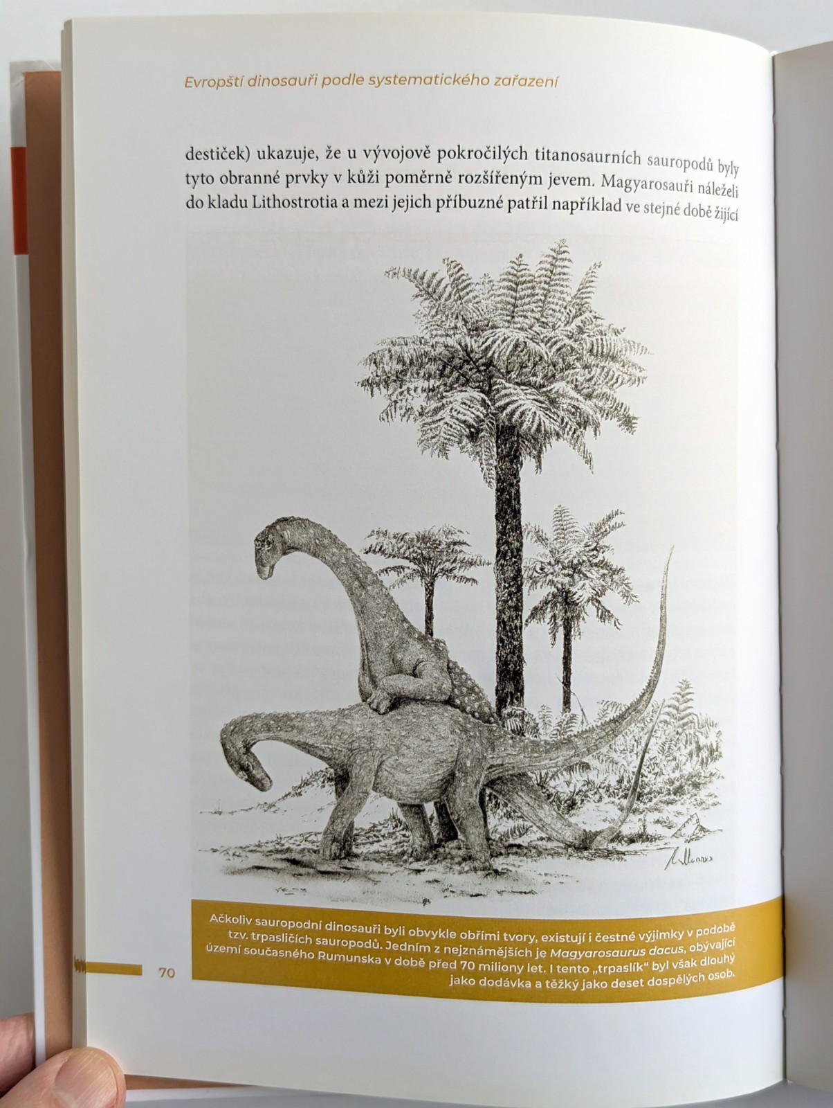 Tyrannosaurus rex Lot of 4 Czech Books on Dinosaurs Paleontology Vladimír Socha