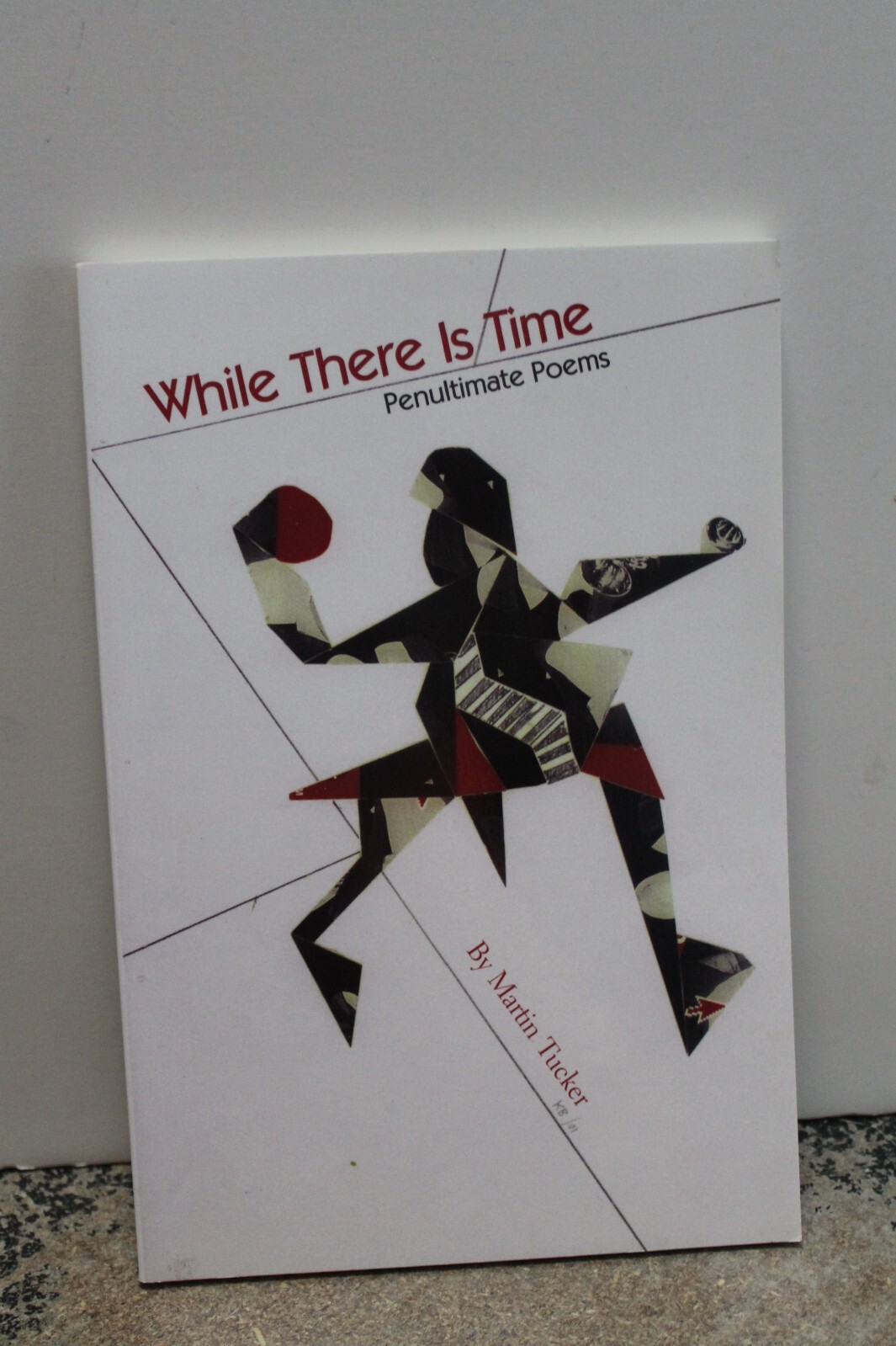 WHILE THERE IS TIME: penultimate poems by Martin Tucker NEW
