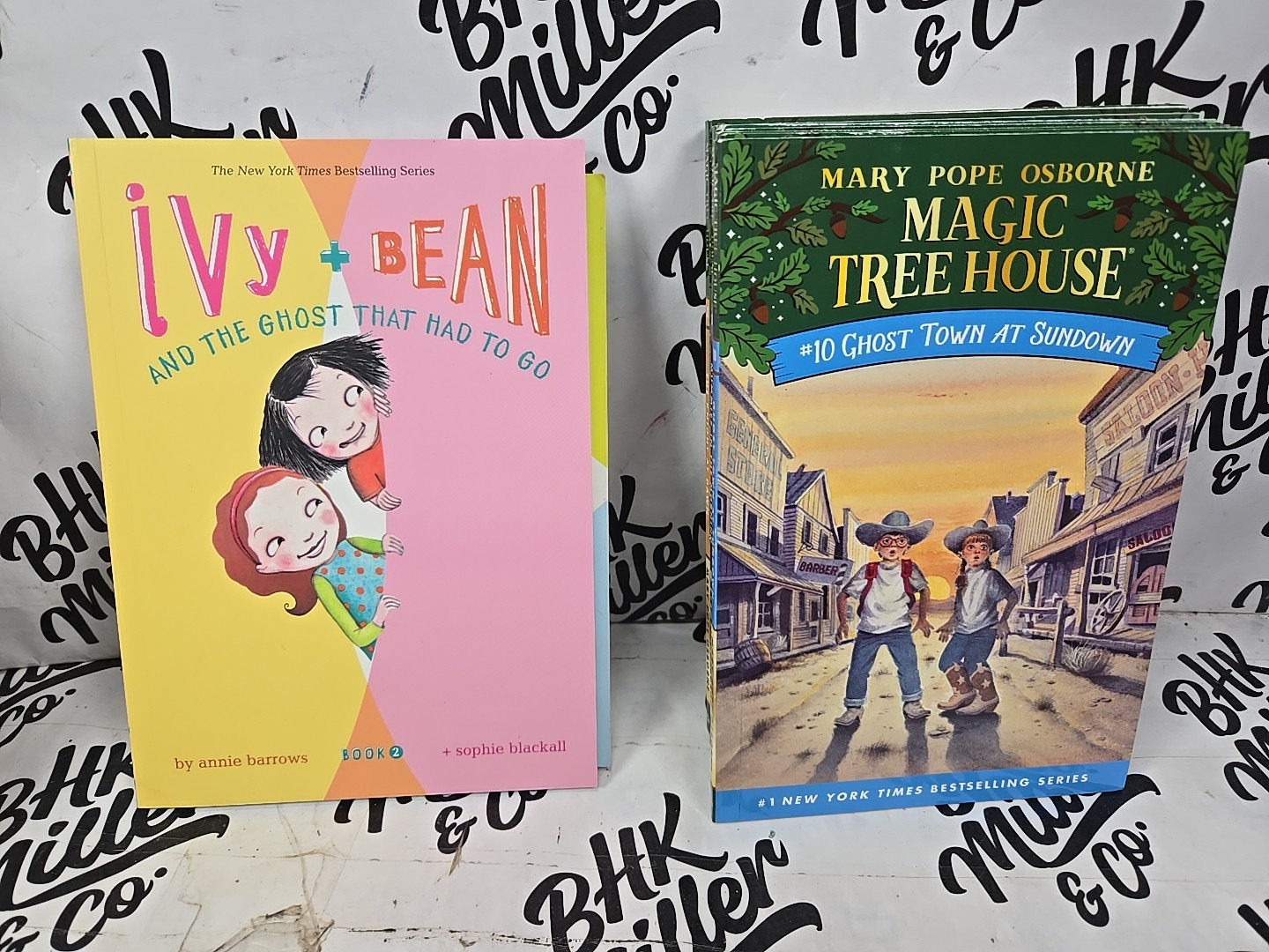 Magic Tree House & Ivy & Bean Chapter Book Lot of 22 Early Reader Books Ages 6-9