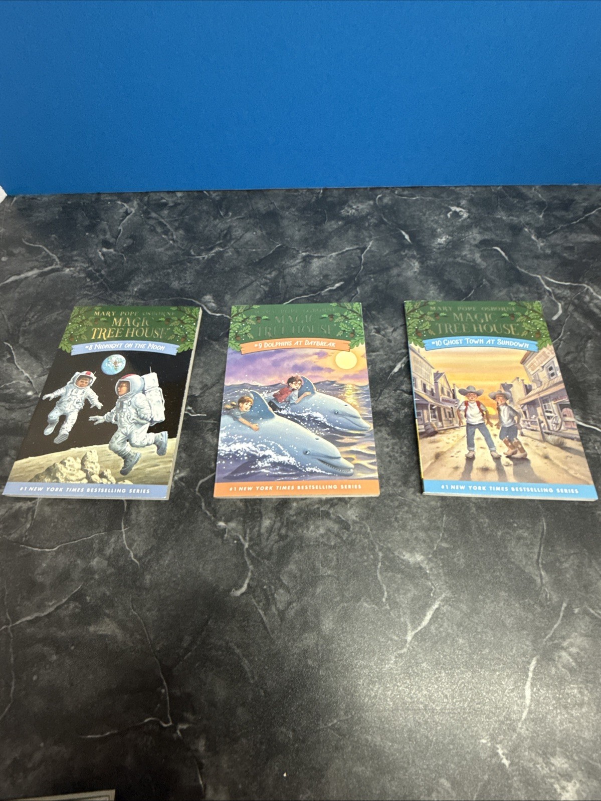 Magic Tree House 11 Book Collection