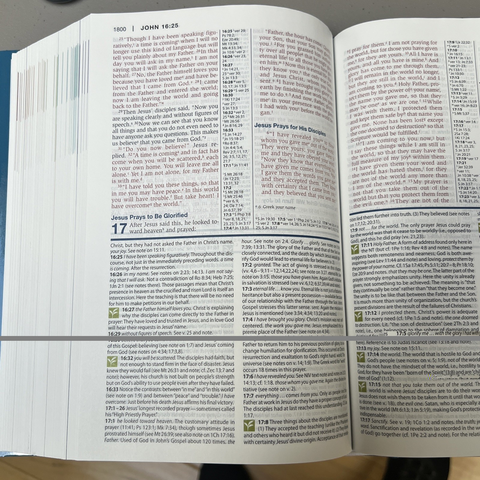 NIV New International Version Study Bible-HB/DJ-9780310438922~EXCELLENT