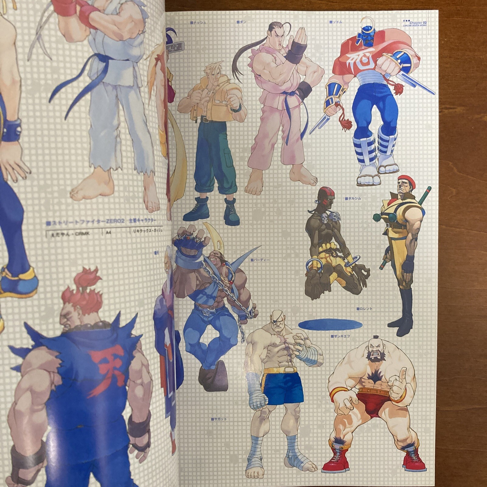 CAPCOM design WORKS Art Book Illustration