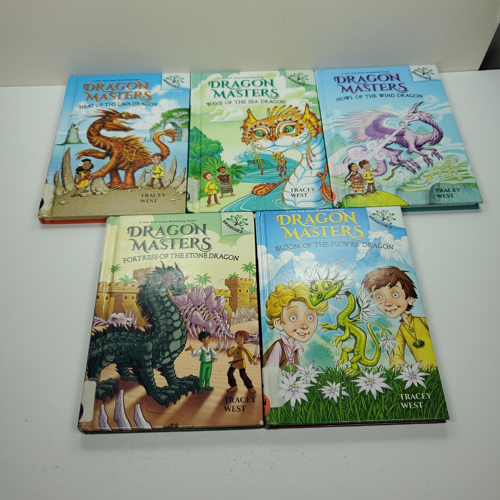 Dragon Masters Books Lot 10 Branches Tracey West HC & PB
