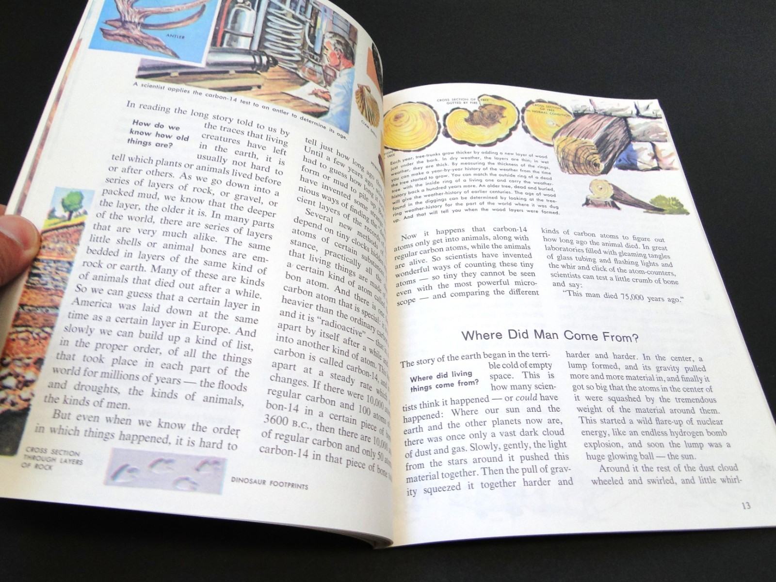Vintage 1981 The How and Why Wonder Book of Primitive Man by Donald Barr