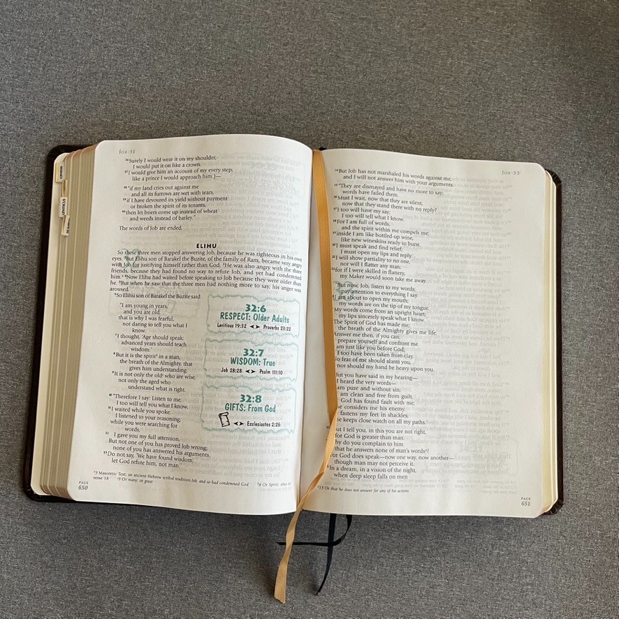 THOMPSON ANSWER BIBLE – NIV- SIMULATED LEATHER BRIDLE By Hartnell House