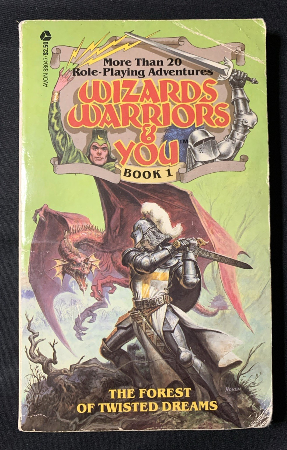 Book 1: Wizards Warriors & You by R. L. Stine – 1st First Avon Paperback 1984