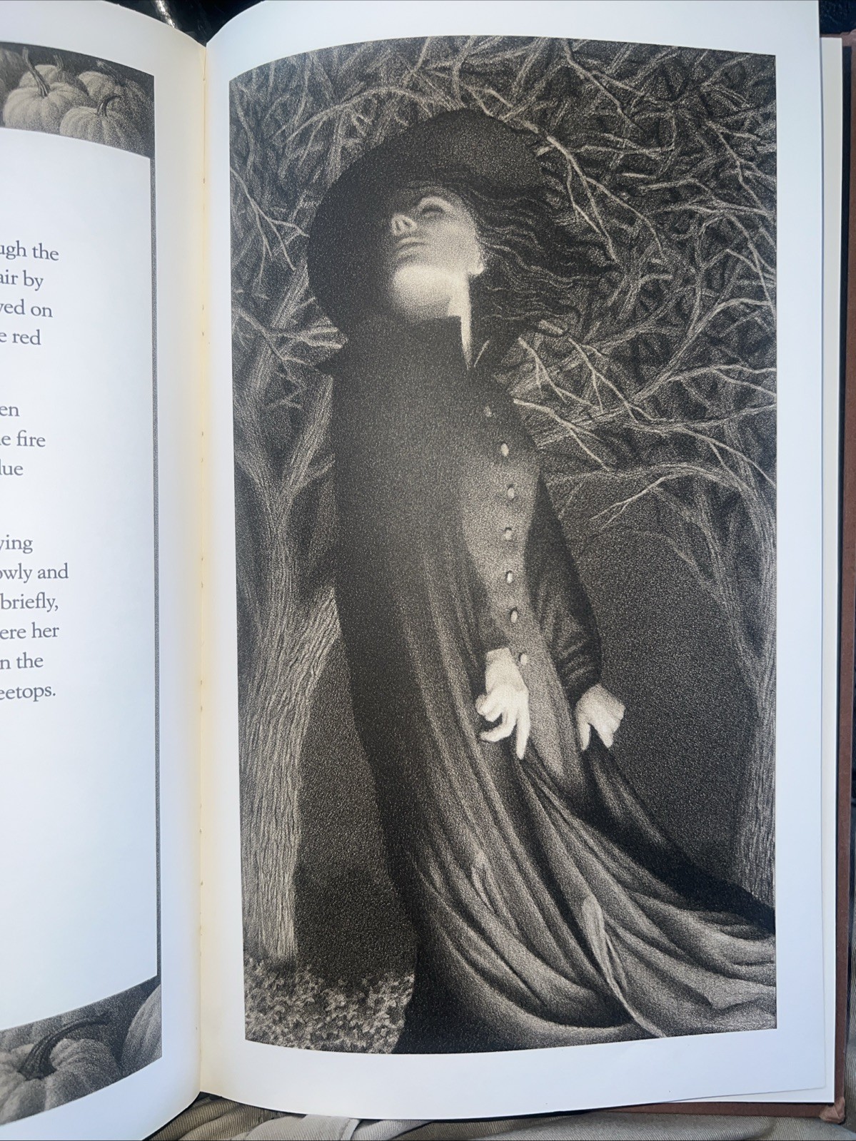 The Widow’s Broom – Hardcover By Van Allsburg, Chris – First Scholastic Edt 1993