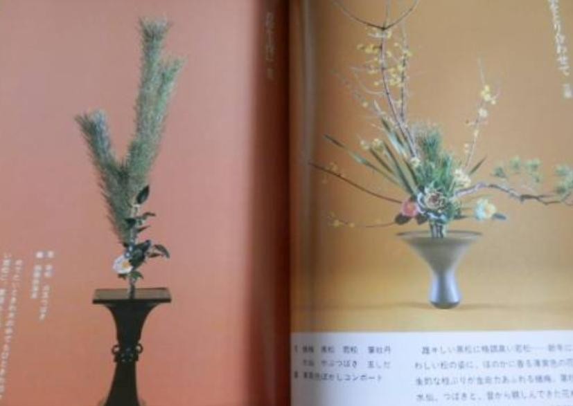 Ikebana Ikenobo Color Guide Book Japanese Flower Arrangement Beginner Japan