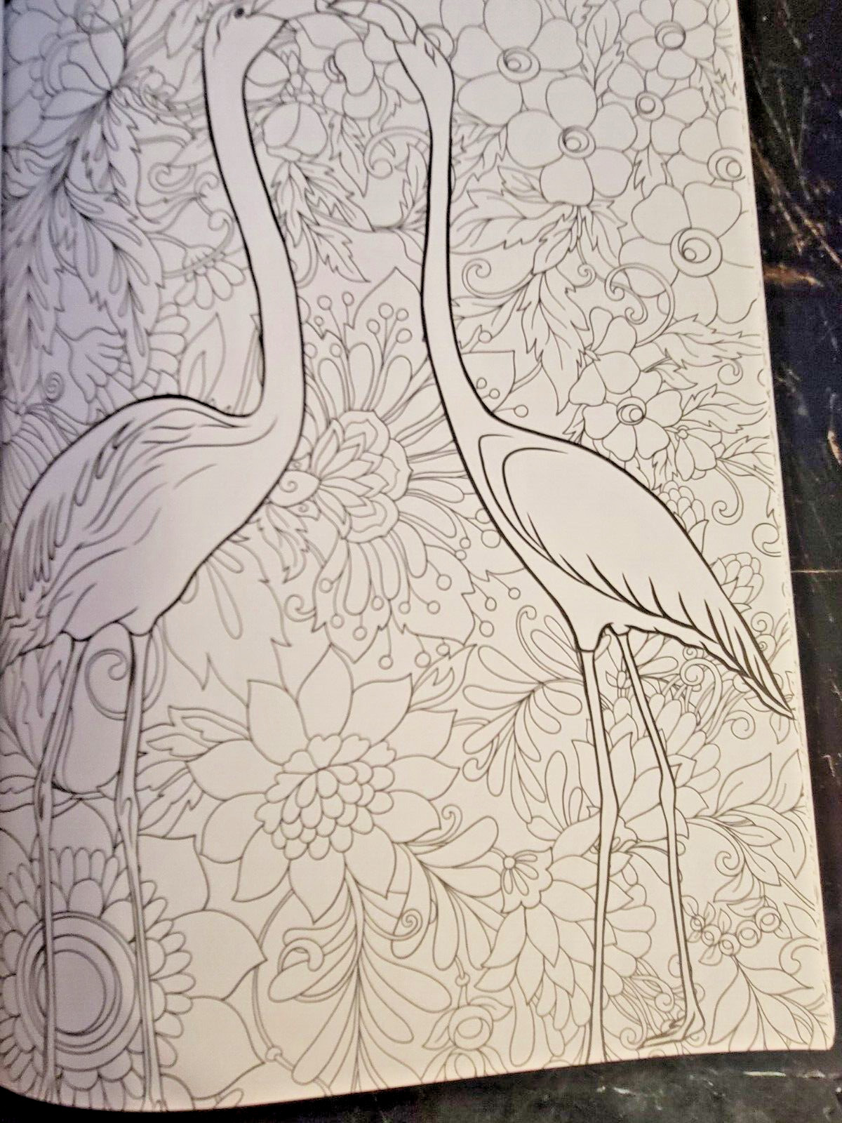 COLORS OF THE WILD Vol. 23 Adult Coloring Book With 47 Prints Ready To Frame!