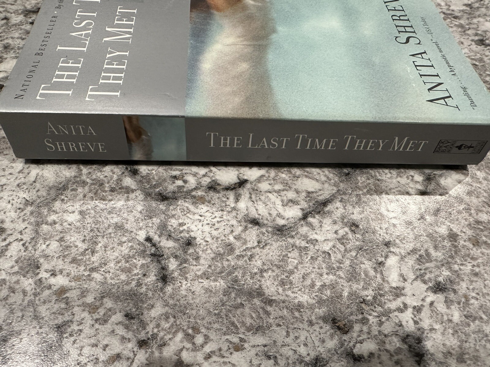 The Last time They Met By Anita Shreve (paperback)