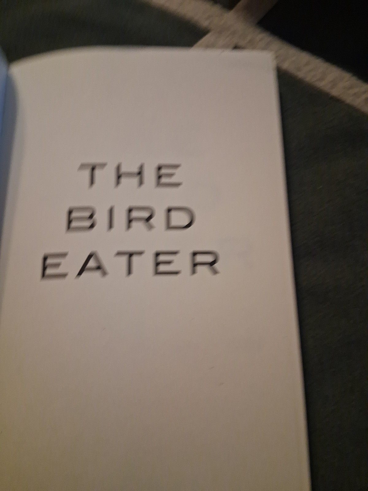 Bird Eater by Ania Ahlborn (2014, Trade Paperback)