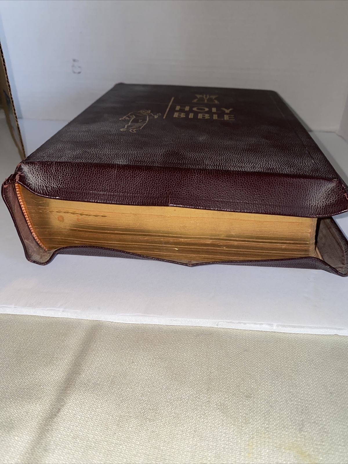 The Catholic Press Family Edition of the Holy Bible 1950 John P O’Connell VGC