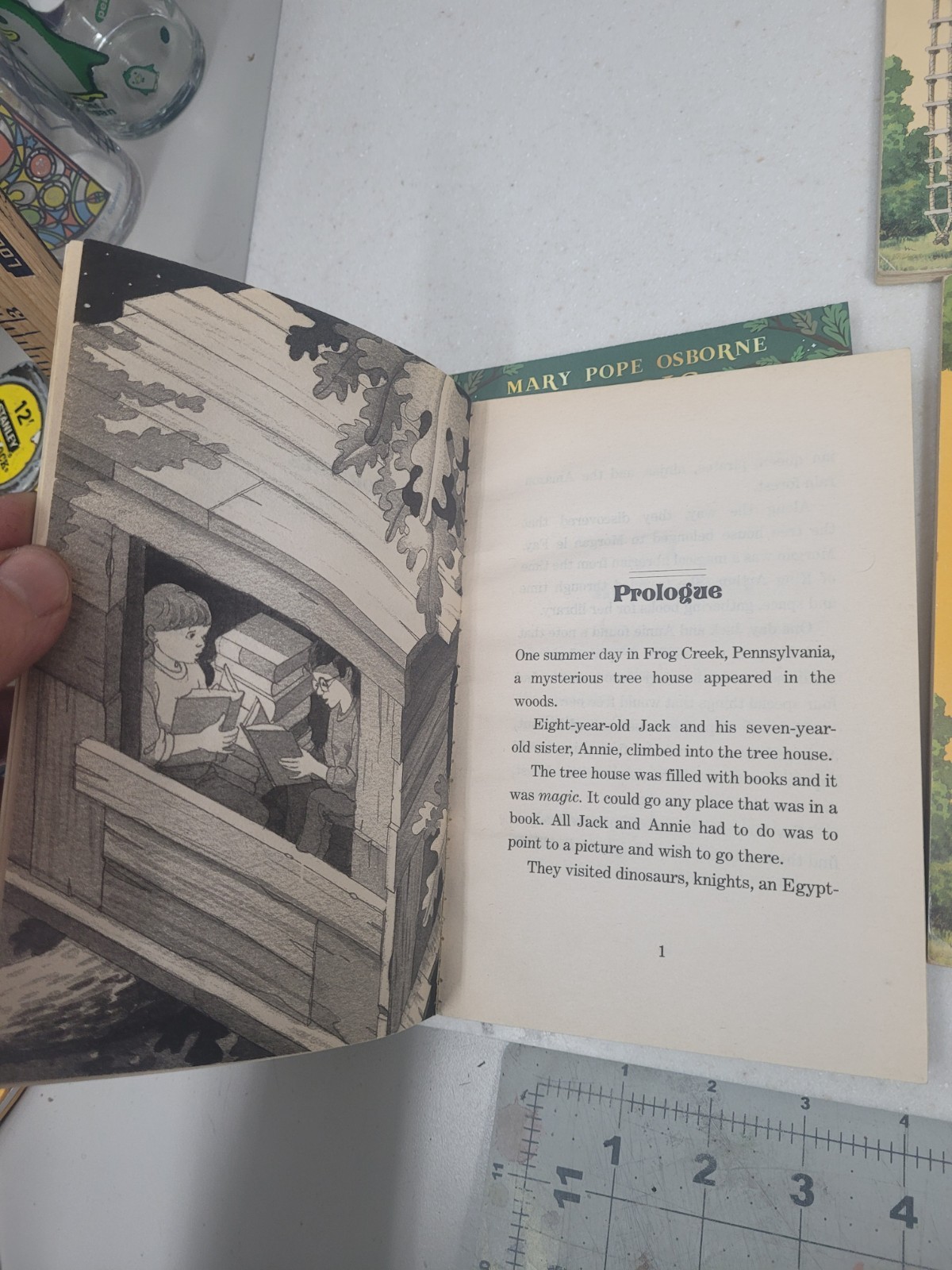 (Magic Tree House Paperback Lot of (12) #1, 2, 3, 6, 8, 11, 13, 17, 18, 23 & 24