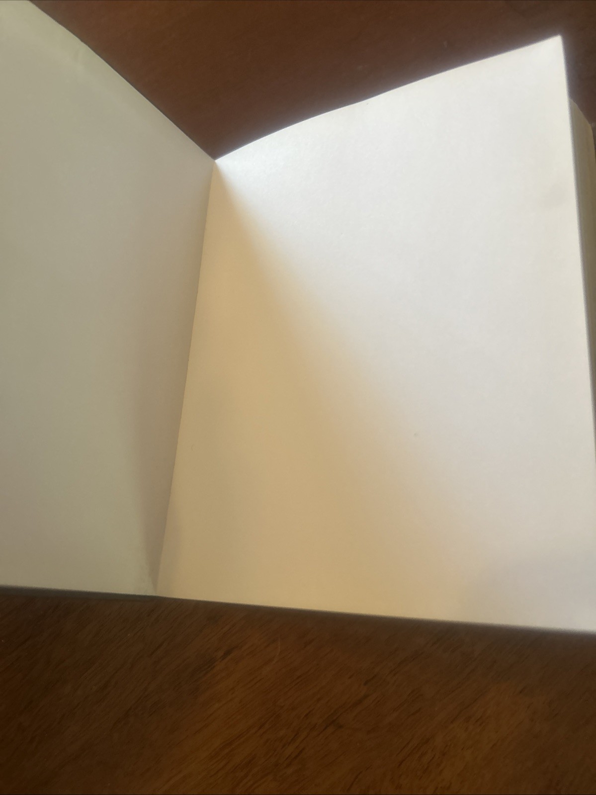 NEW Burberry Pebbled Brown Leather Blank Book w Gold Edging 4.5 X 5.5 Inches