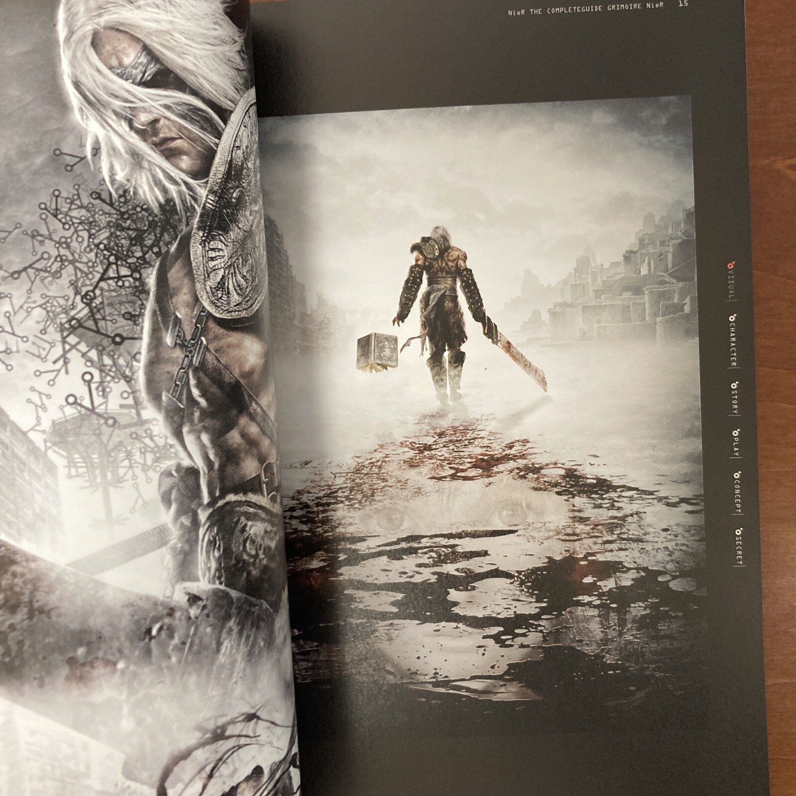 Grimoire NieR Guide Book Art Book Illustration