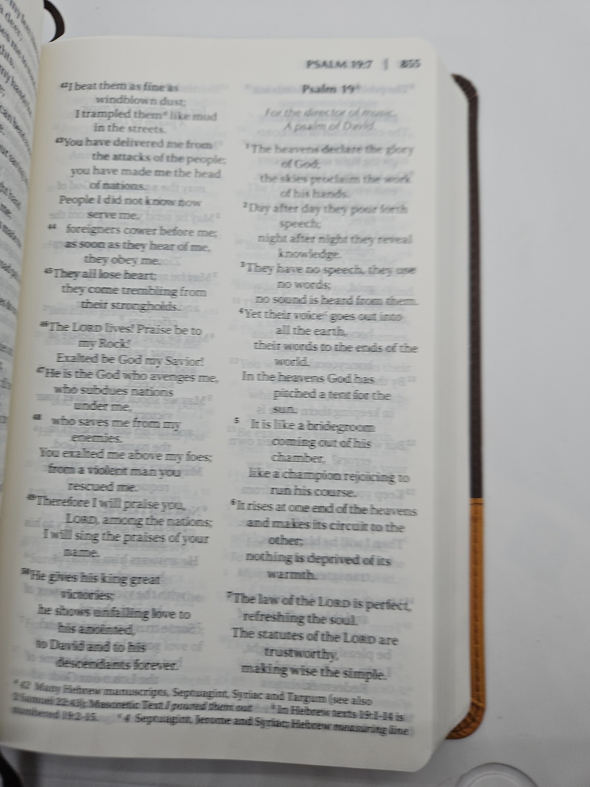 NIV Holy Bible Large Print Zondervan Brown DuoTone Leathersoft 2011