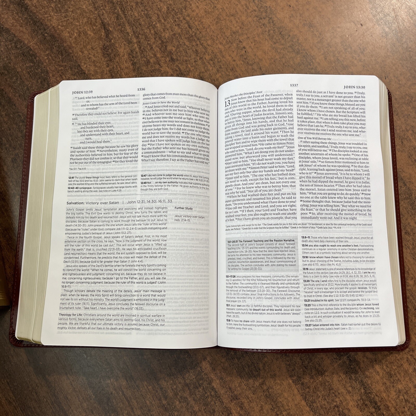 ESV Systematic Theology Study Bible – $69.99 Retail – Chestnut Brown TruTone