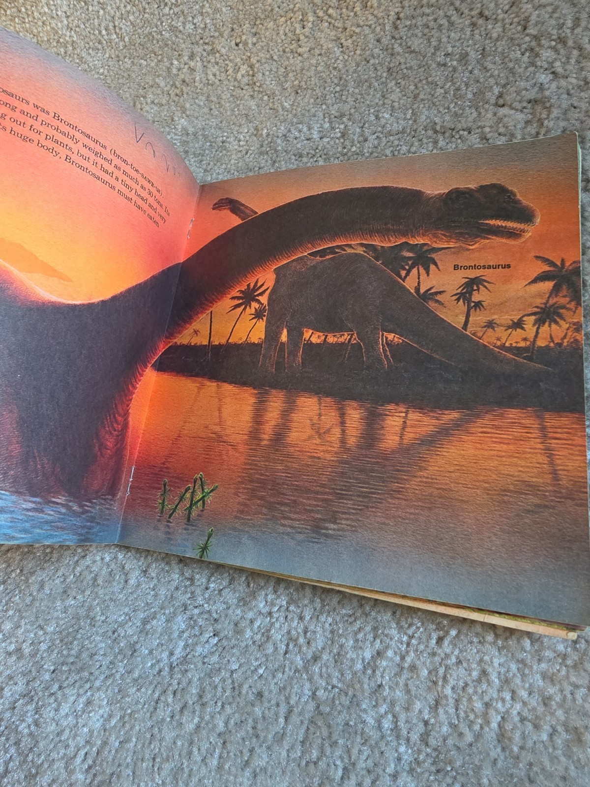 Random House Dinosaurs Book Kids Multi Vintage 1977 Peter Zallinger
