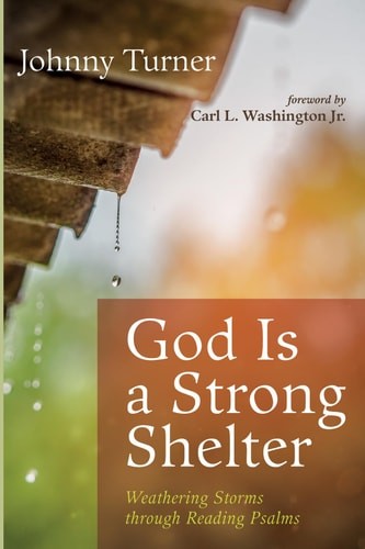 God Is a Strong Shelter: Weathering Storms through Reading Psalms, Turner, Johnn