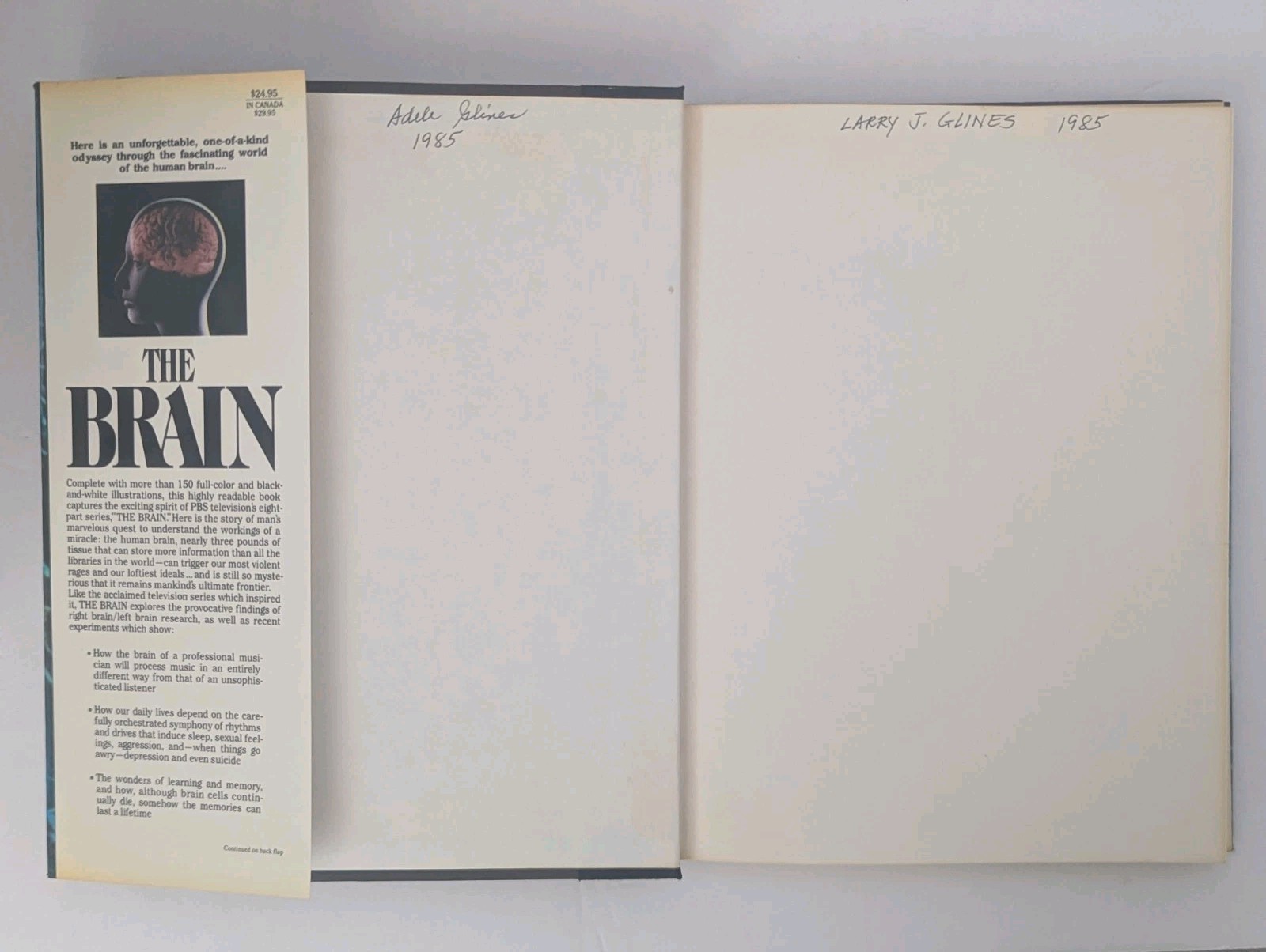 The Brain by Richard Restak 1st Edition 1984 Hardcover Dust Jacket Vintage Book