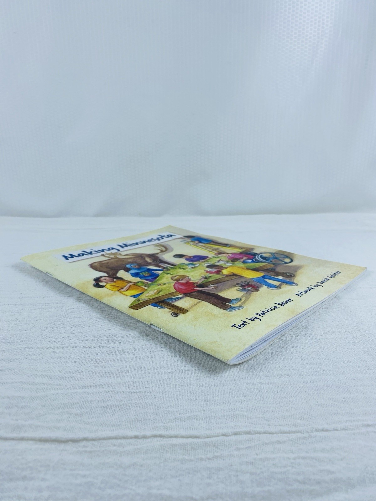 Making Minnesota – A Kids Activity Book. 45 Pages Paperback by Patricia Bauer