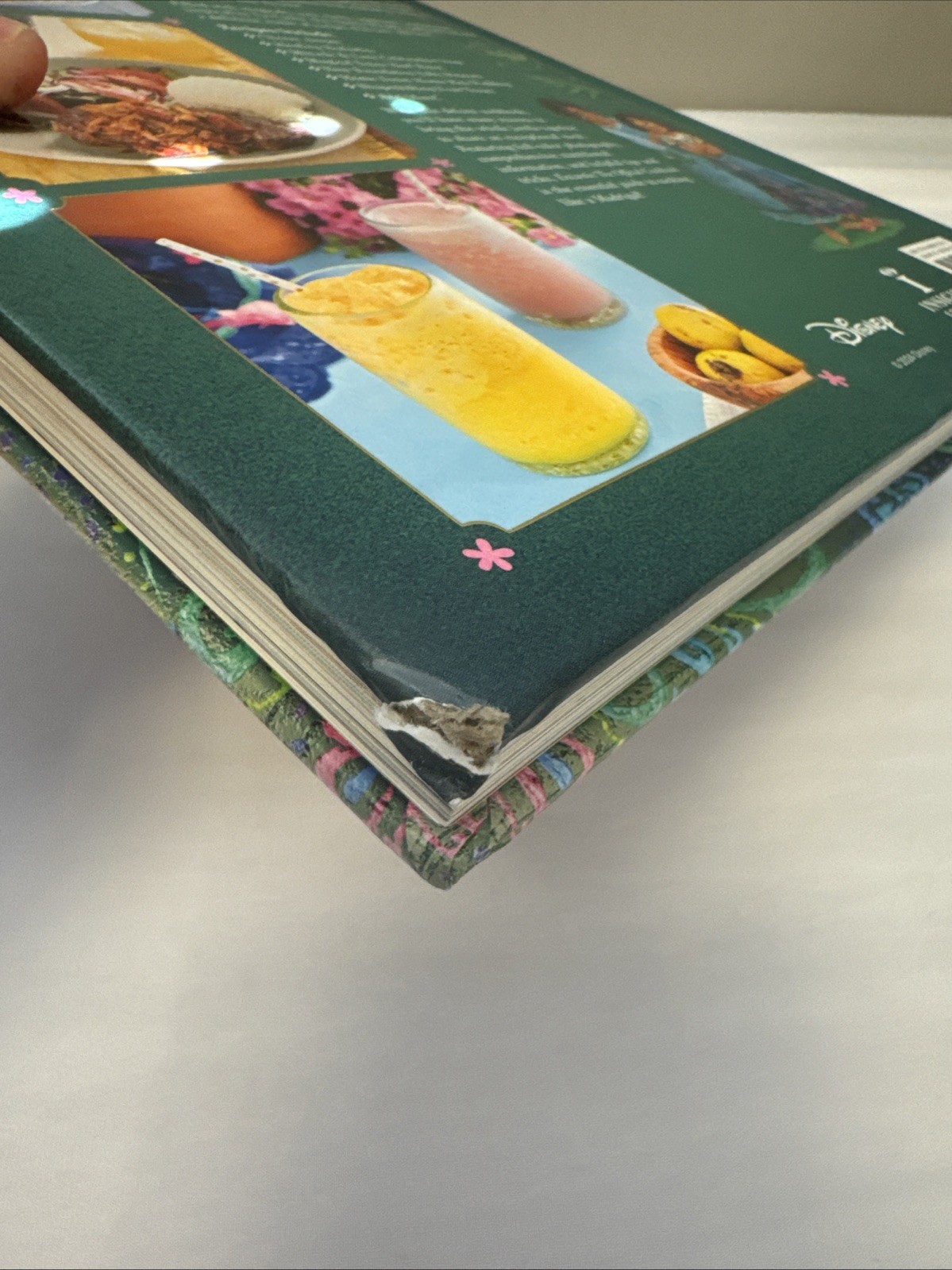 Encanto: The Official Cookbook – (Disney) by Insight Editions (Hardcover)